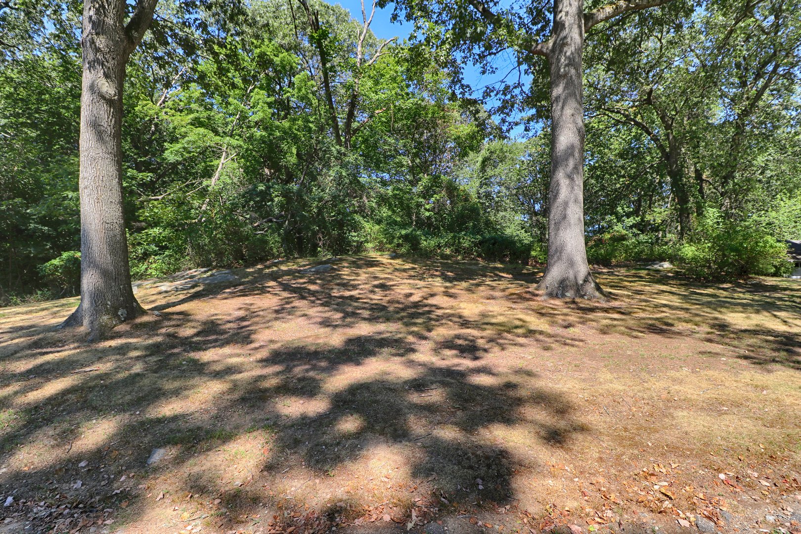 20 Ermine Street Photo 8