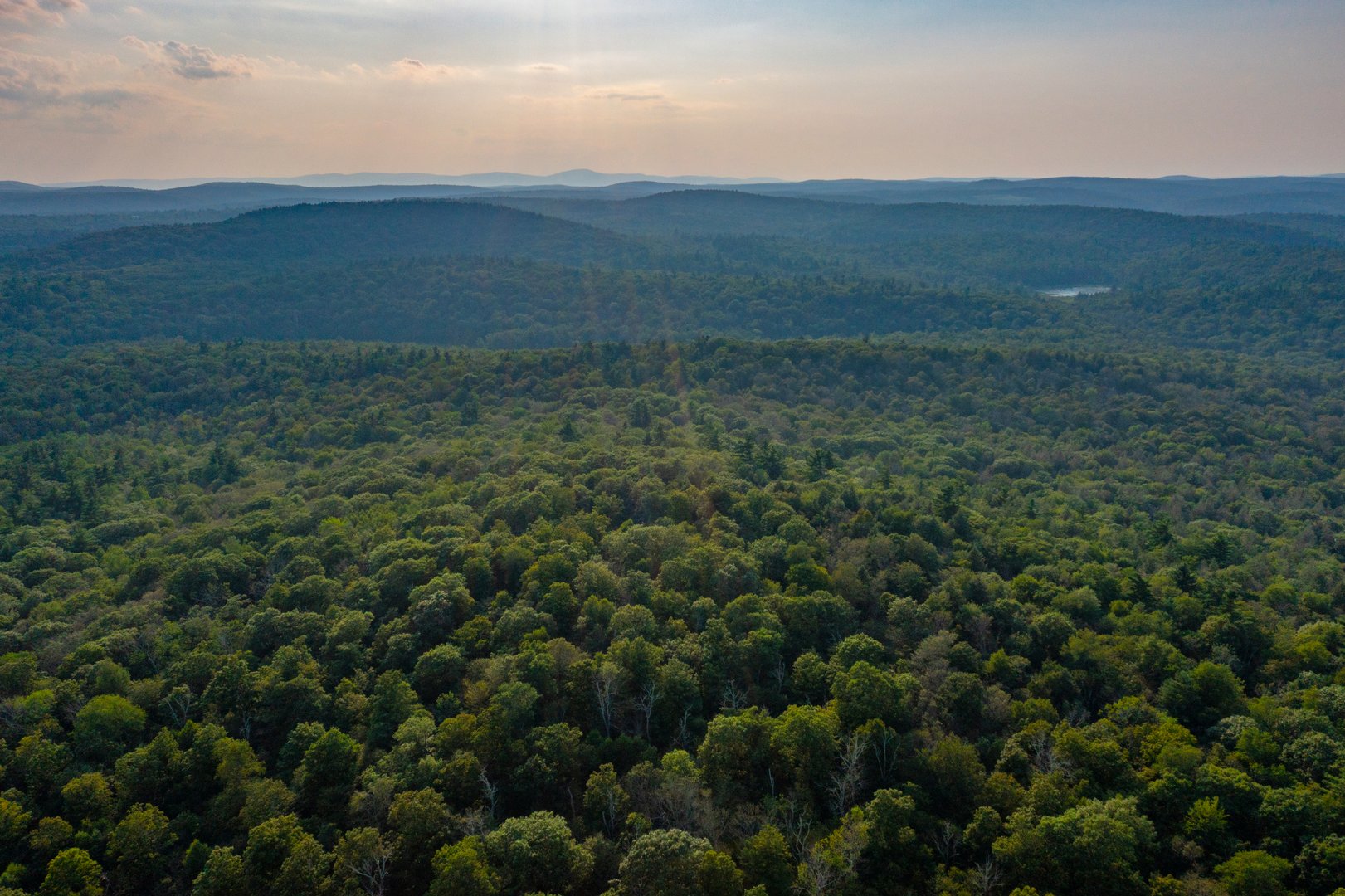 19 Roberts Rd Photo 2