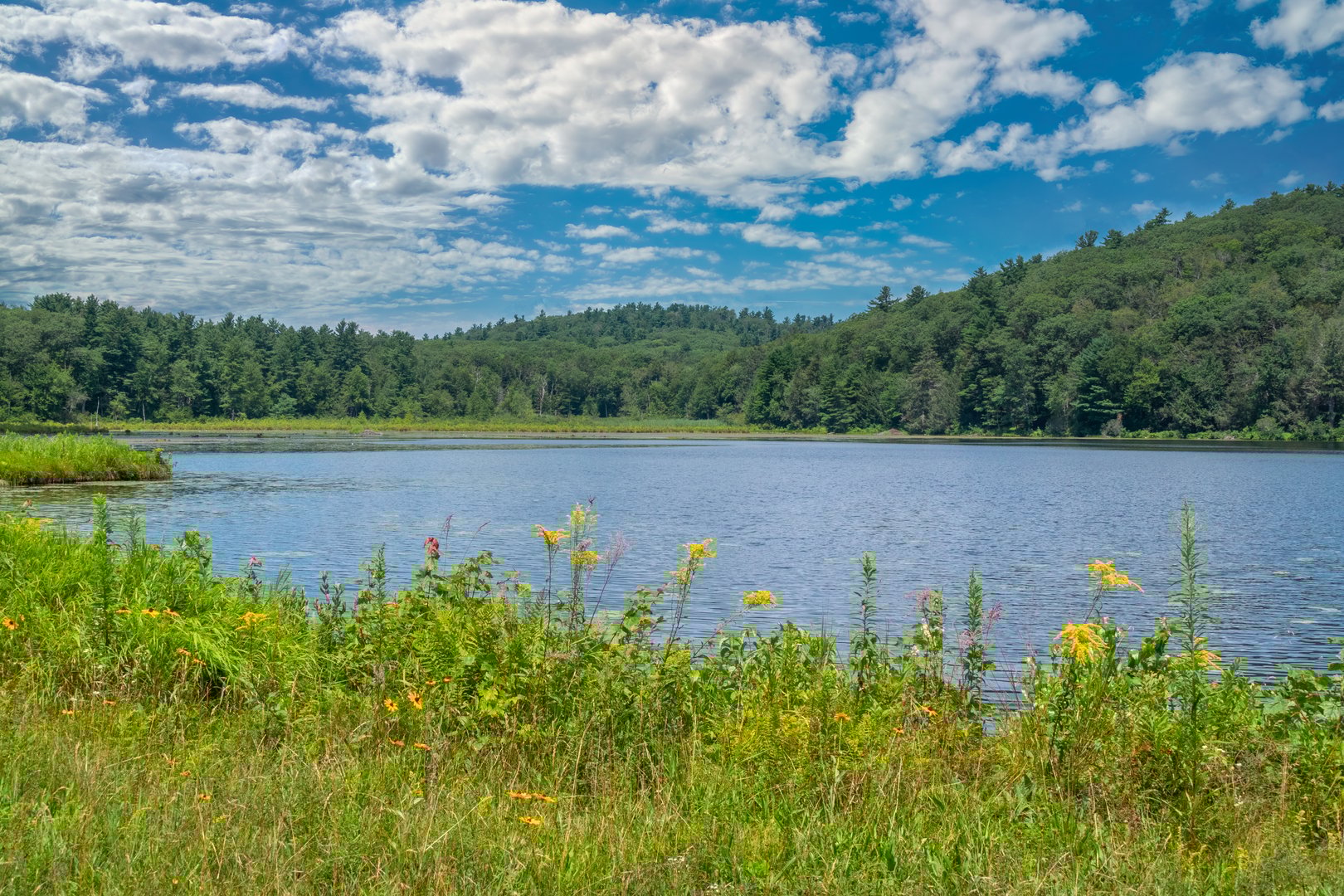 19 Roberts Rd Photo 31