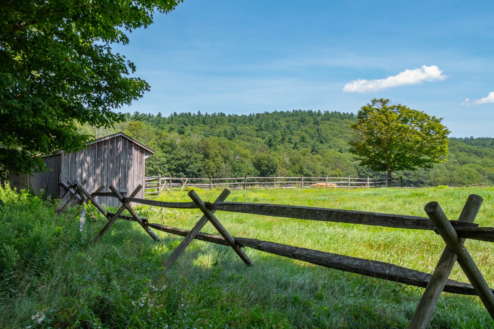 19 Roberts Rd Photo 20