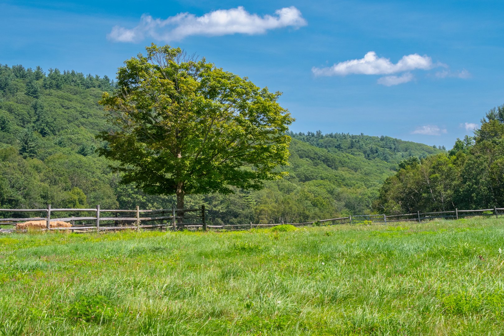 19 Roberts Rd Photo 19