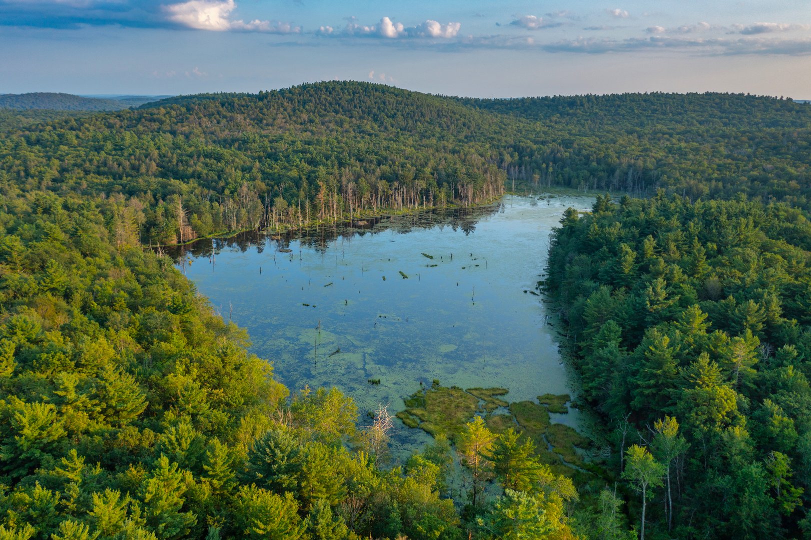 19 Roberts Rd Photo 32