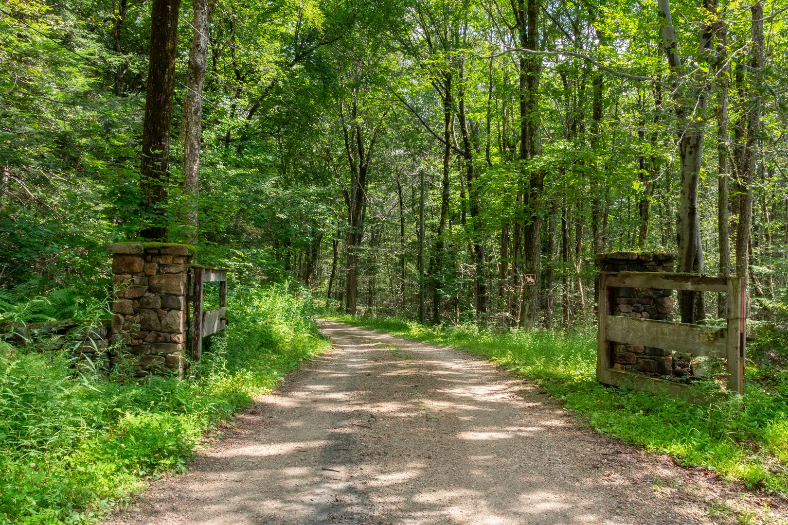 19 Roberts Rd Photo 13