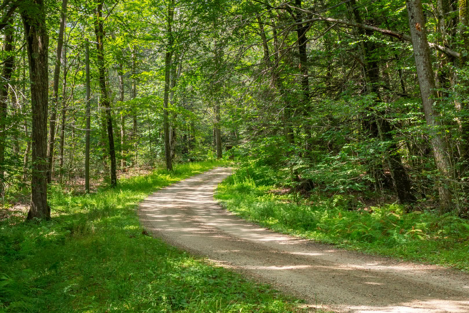 19 Roberts Rd Photo 15