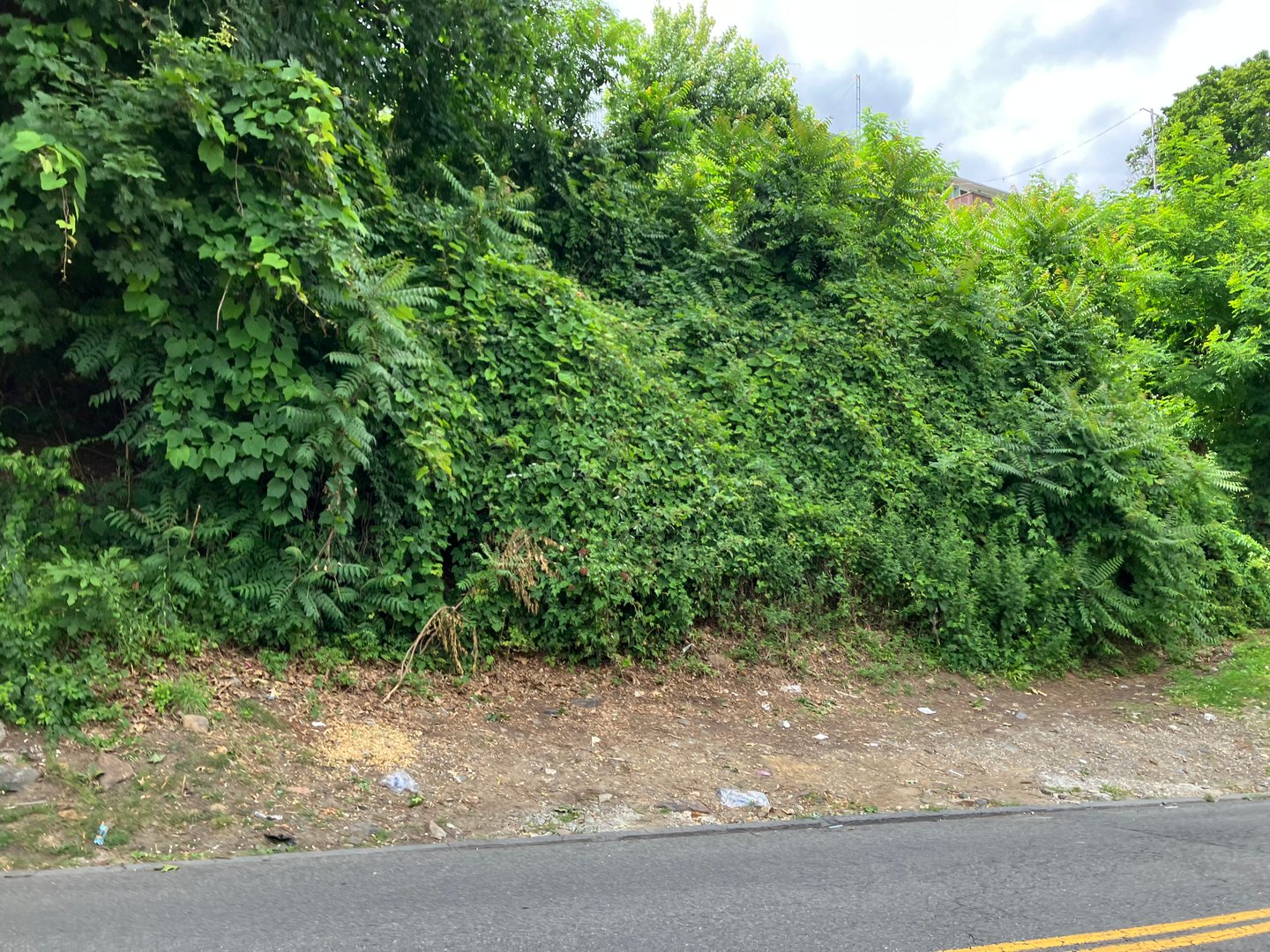 127 -133 Frederic Street Photo 1