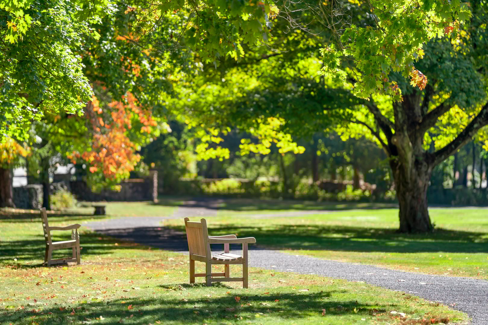 230 & 244 West Road Photo 7