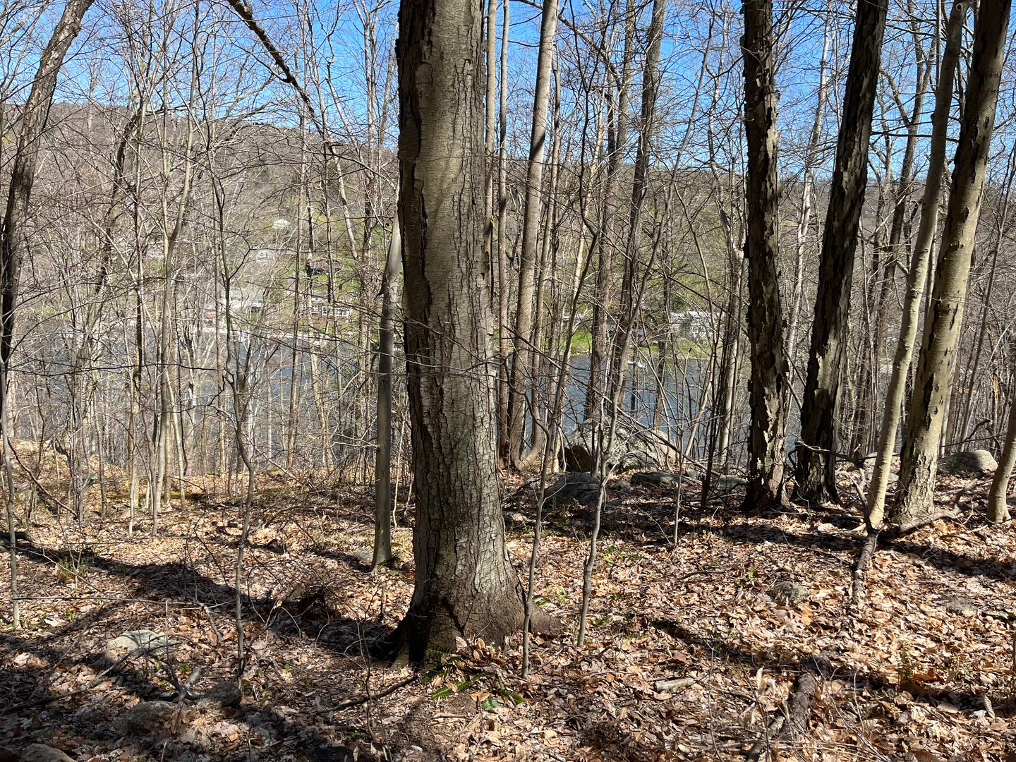 Wagon Wheel Road Photo 15