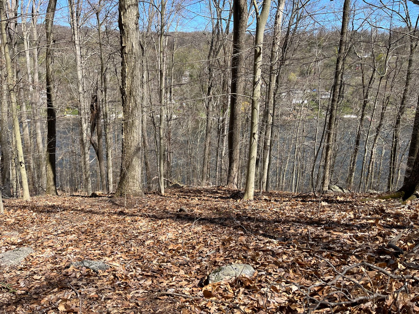 Wagon Wheel Road Photo 20