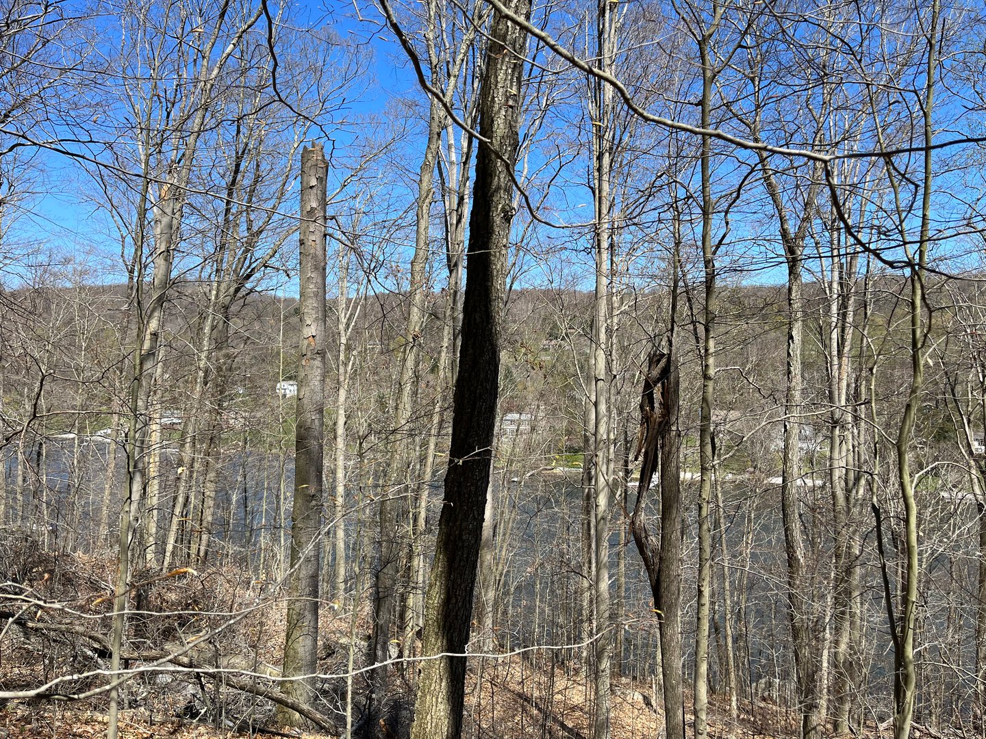 Wagon Wheel Road Photo 22