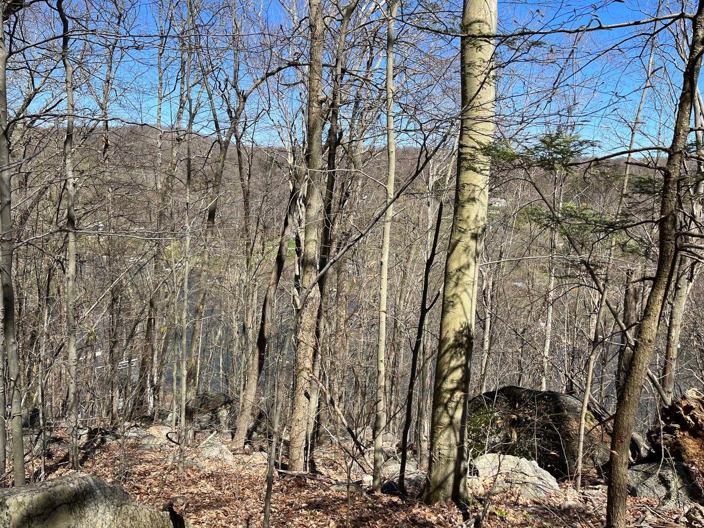 Wagon Wheel Road Photo 24