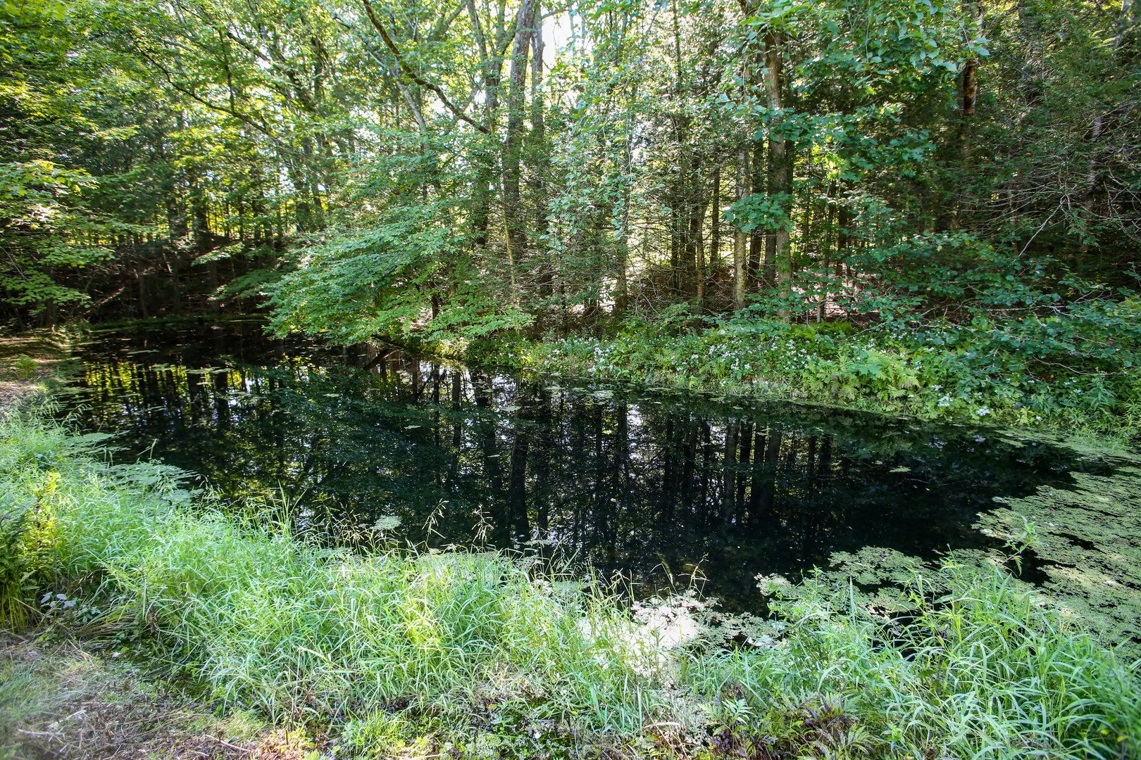 240 Beldingville Rd Photo 37