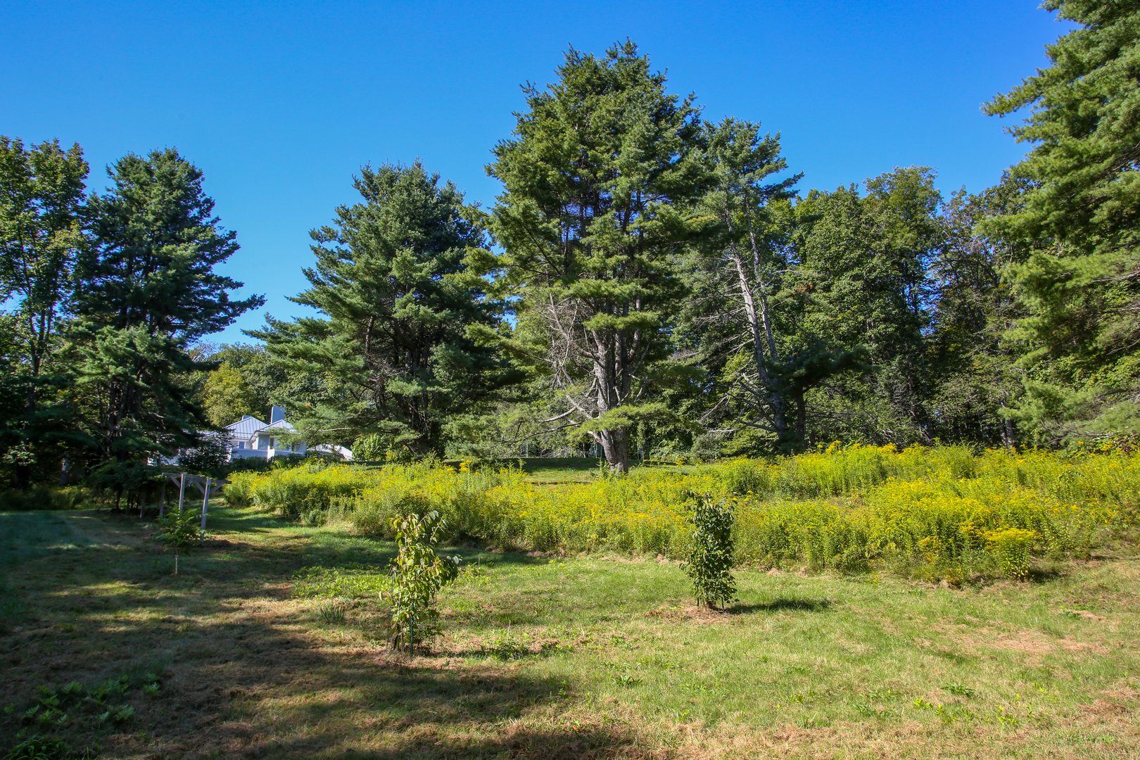 240 Beldingville Rd Photo 38