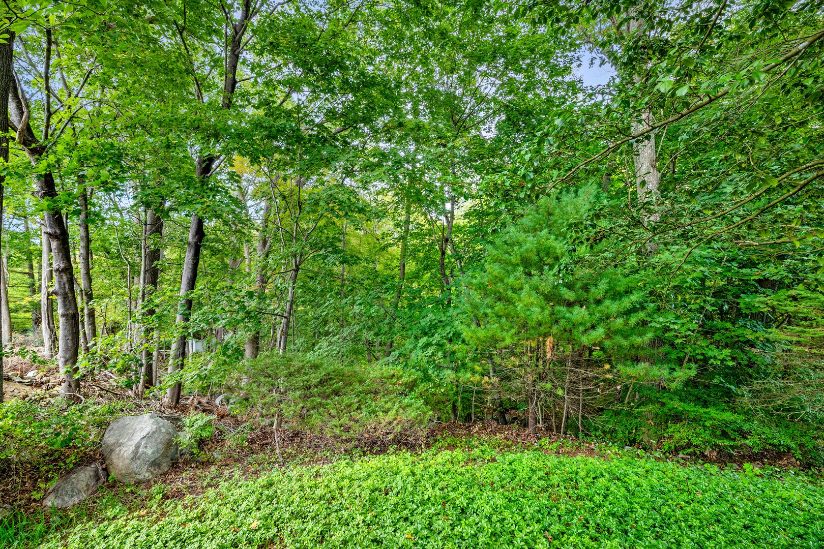 6 Fulmore Drive Photo 37