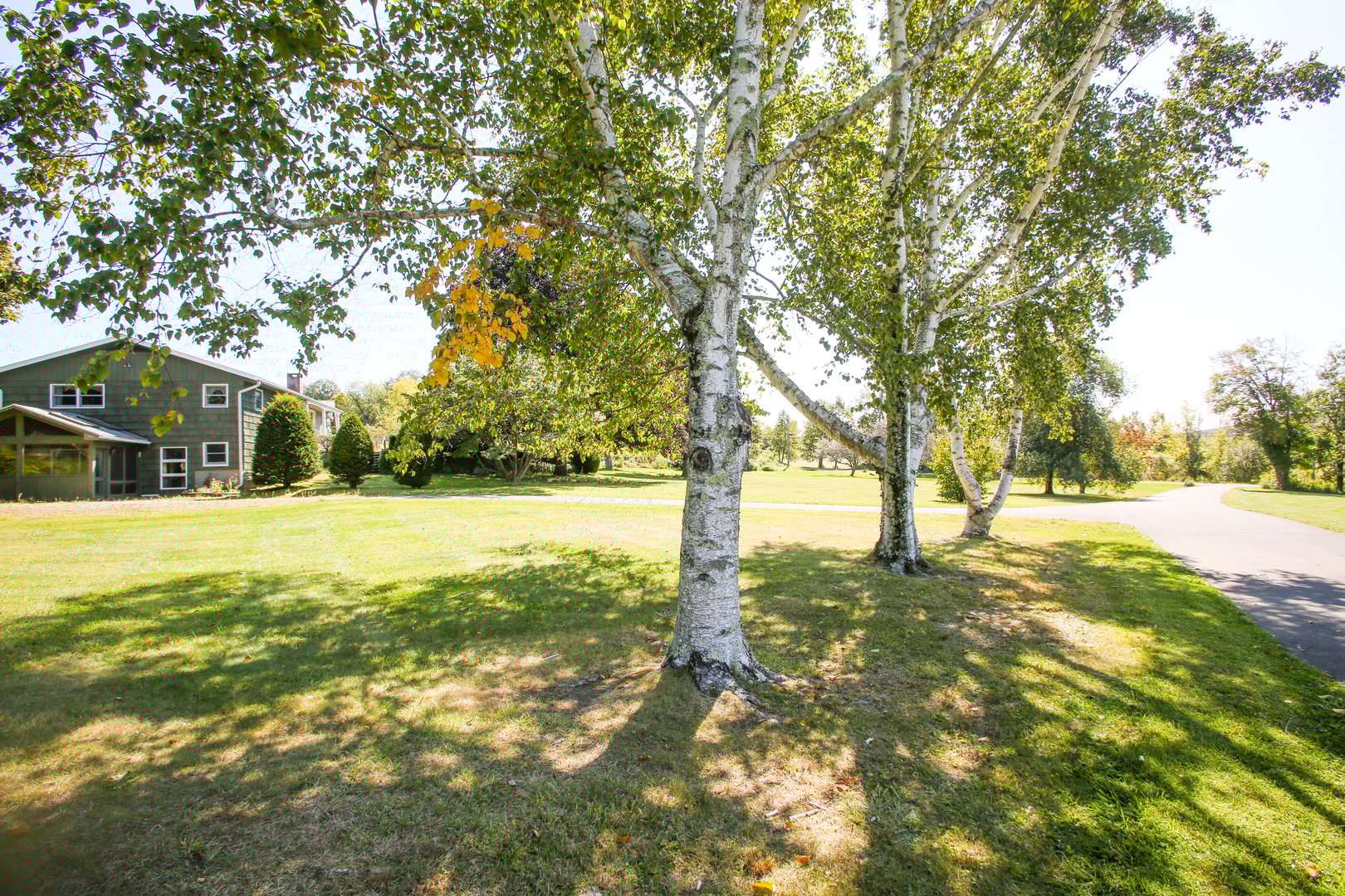 76 Fairchild Road Photo 29