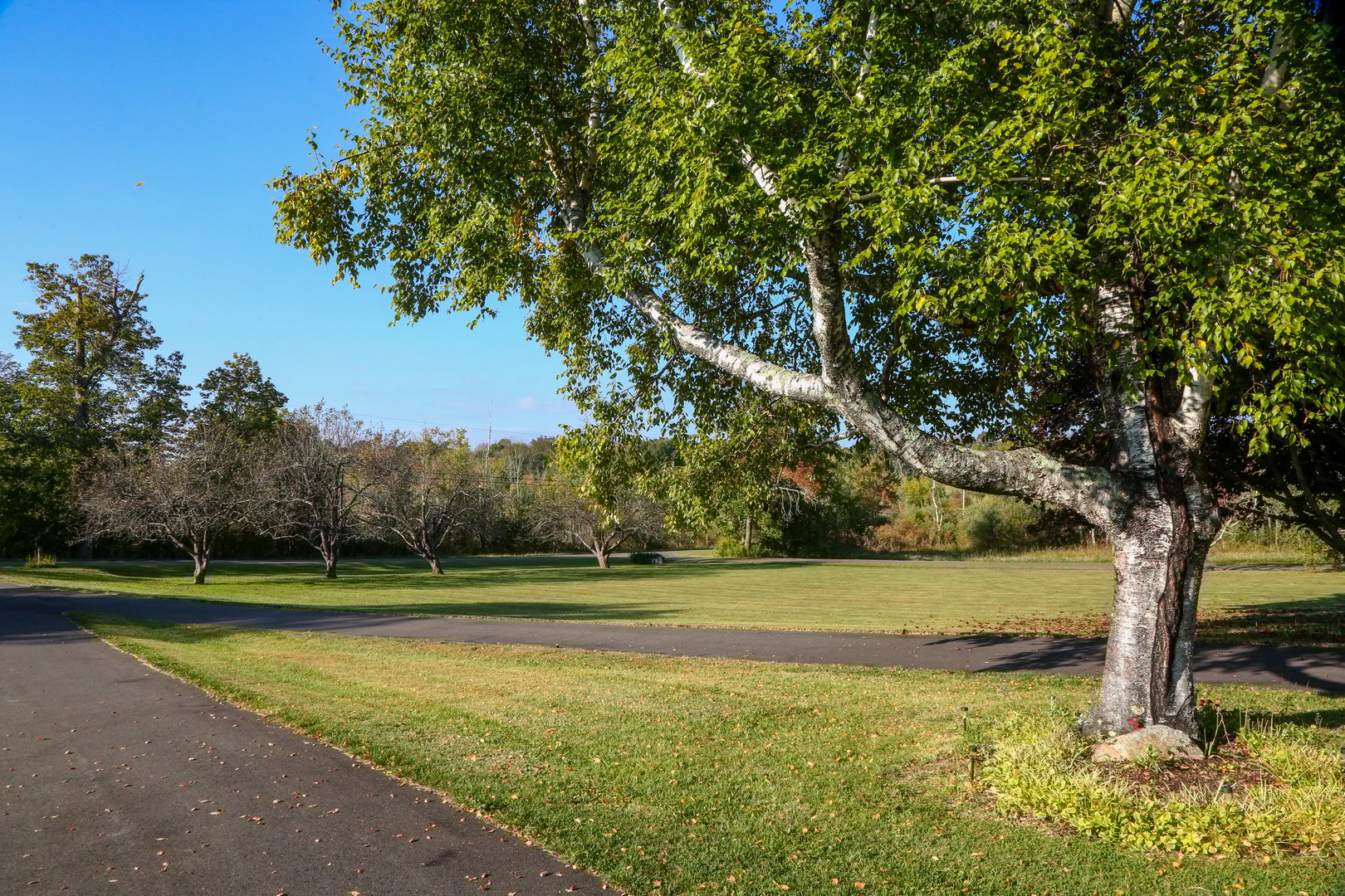 76 Fairchild Road Photo 33