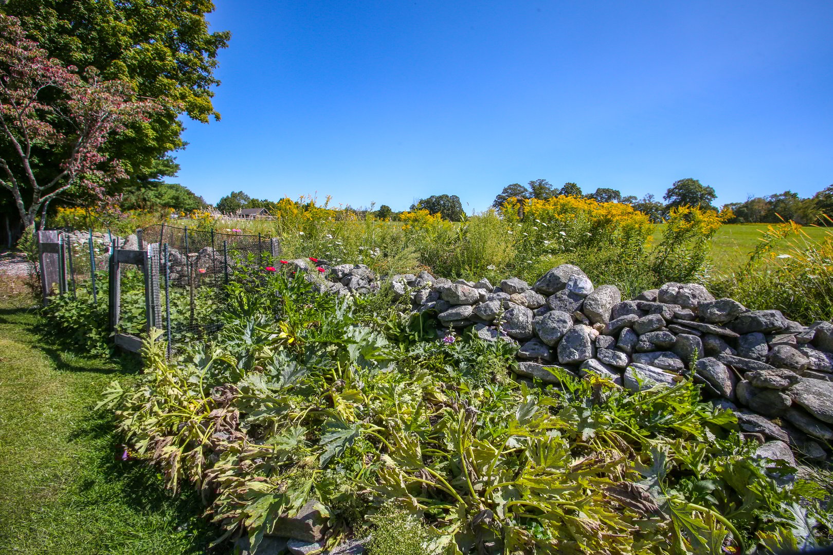 76 Fairchild Road Photo 34