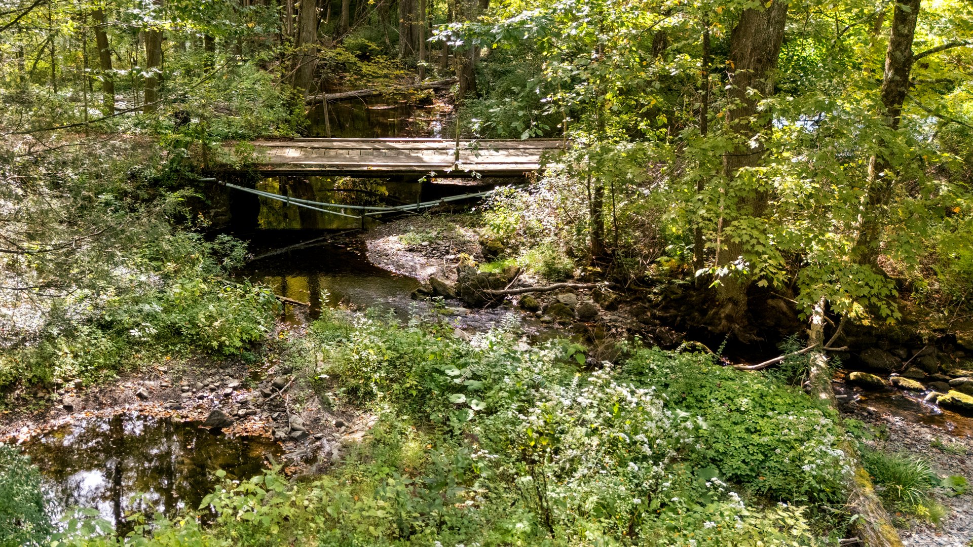 416 West Rd Photo 10