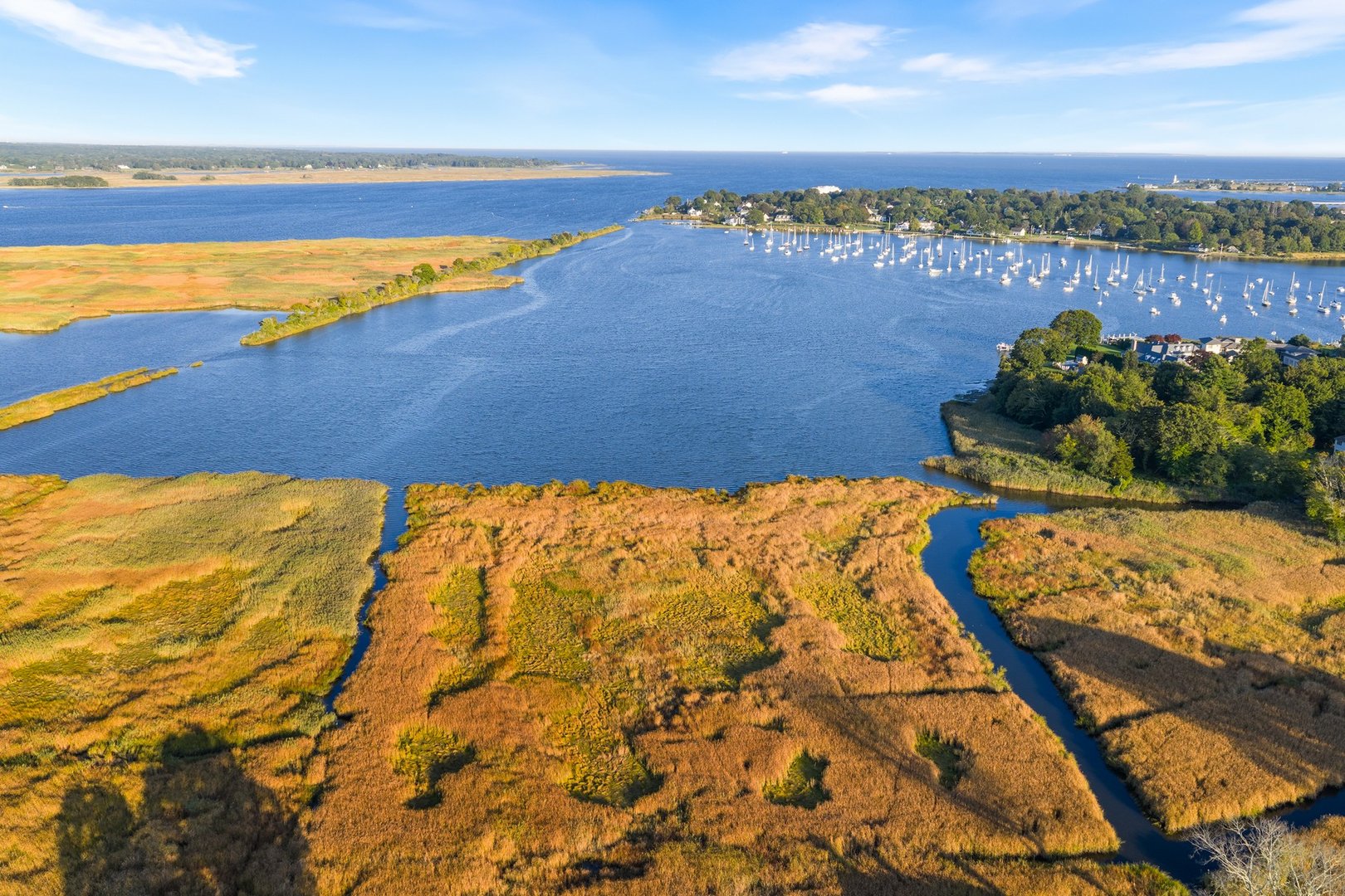 100 Dudley Avenue  #H43 Photo 34