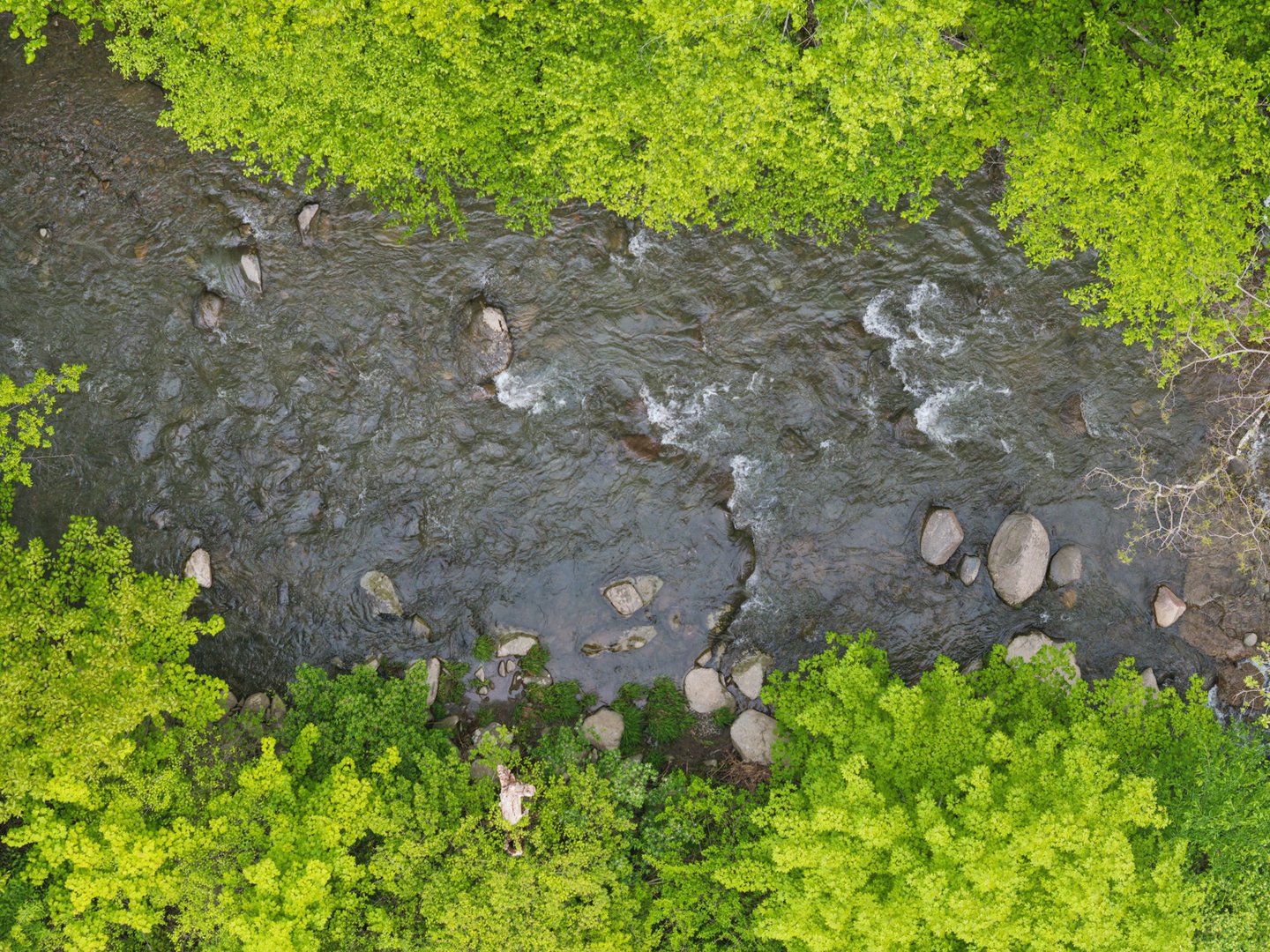 3207-3209 Route 212 Photo 40