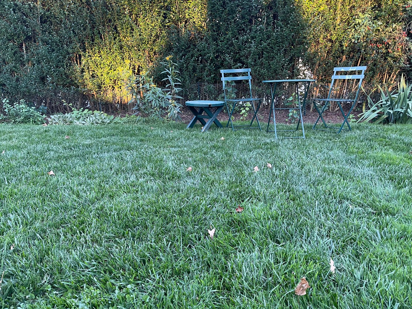 126 East Avenue Photo 5