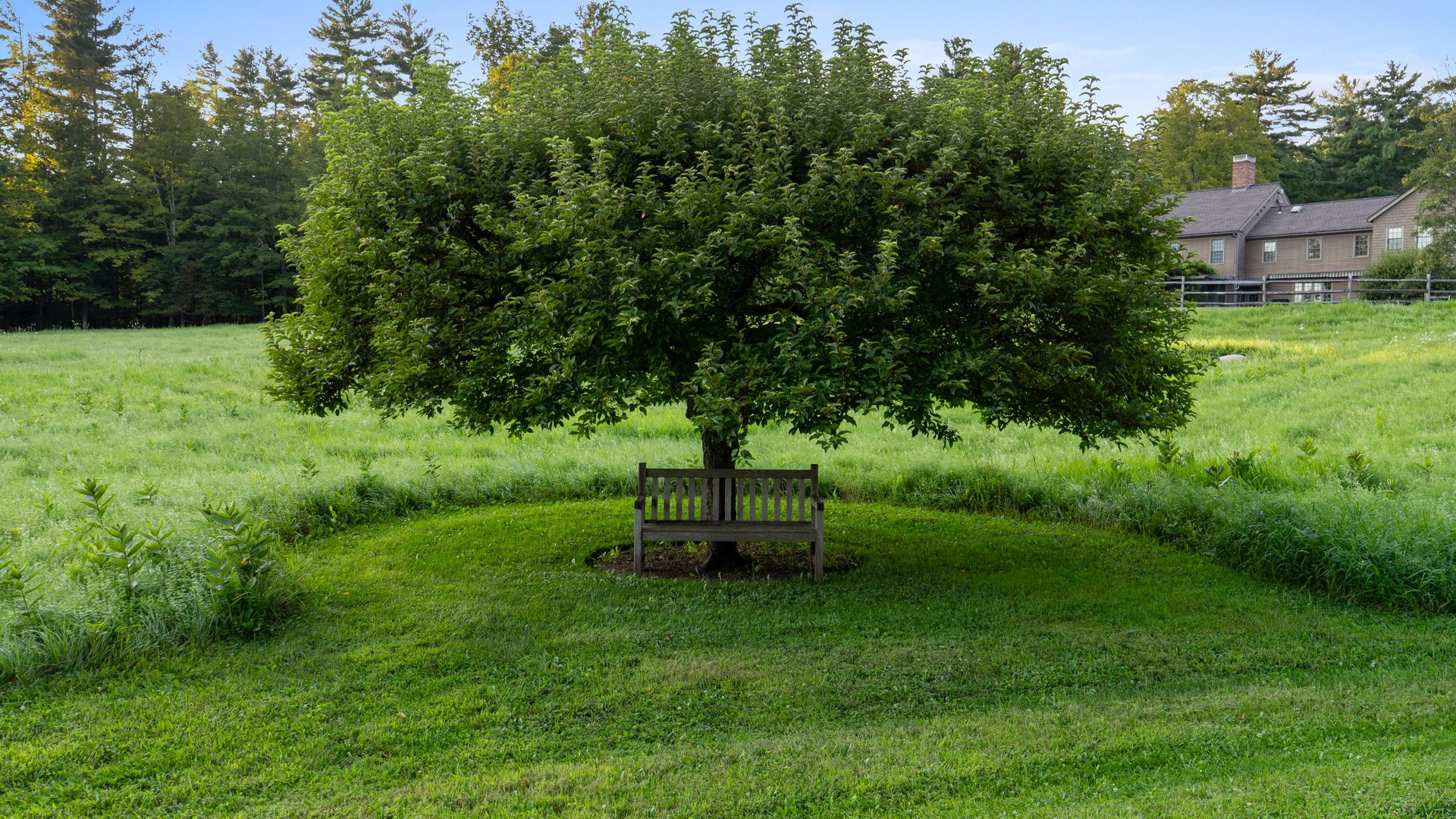 110 Alford Rd Photo 52