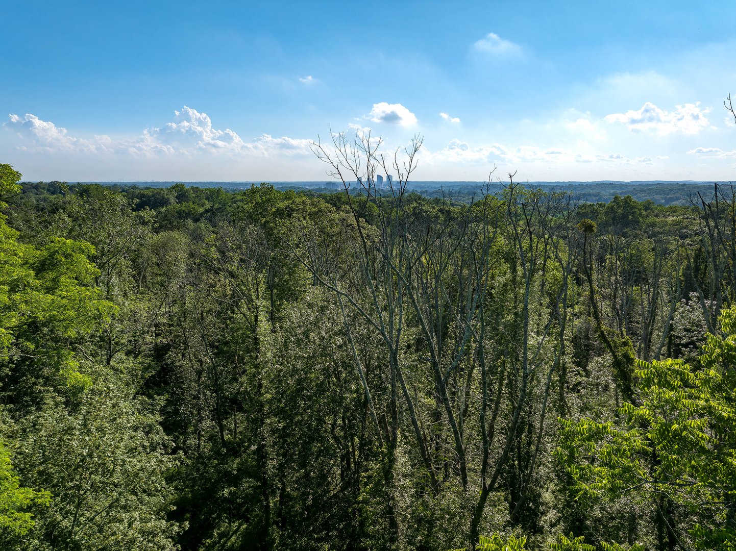 0 Barnes Lane Photo 2