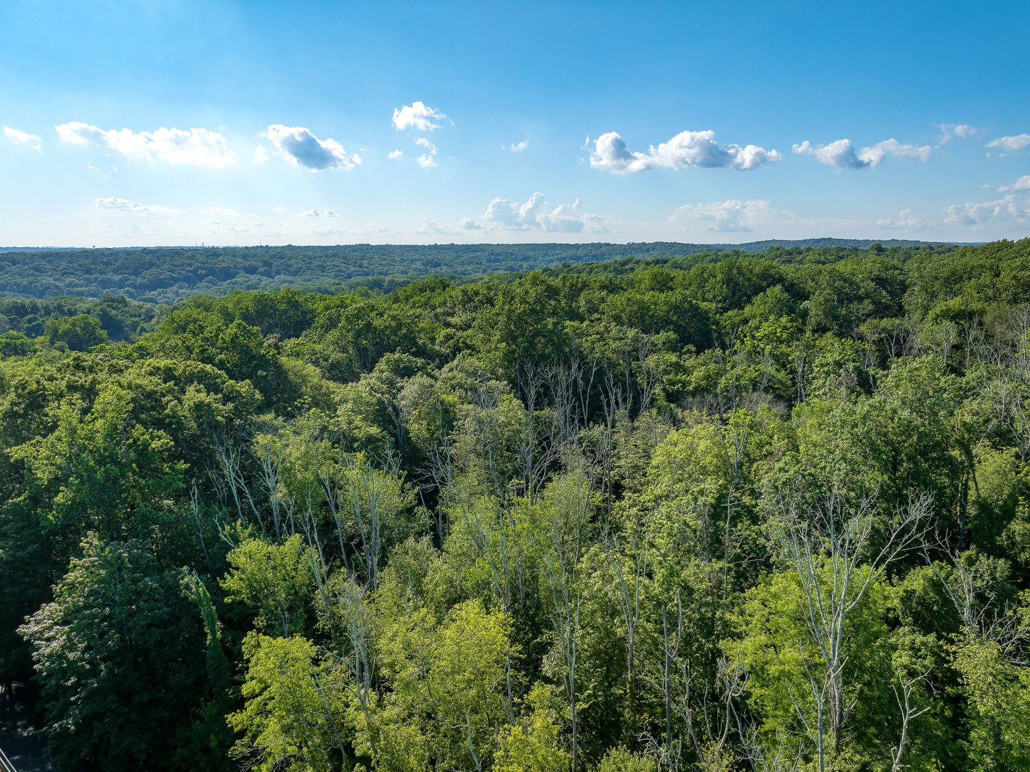 0 Barnes Lane Photo 3