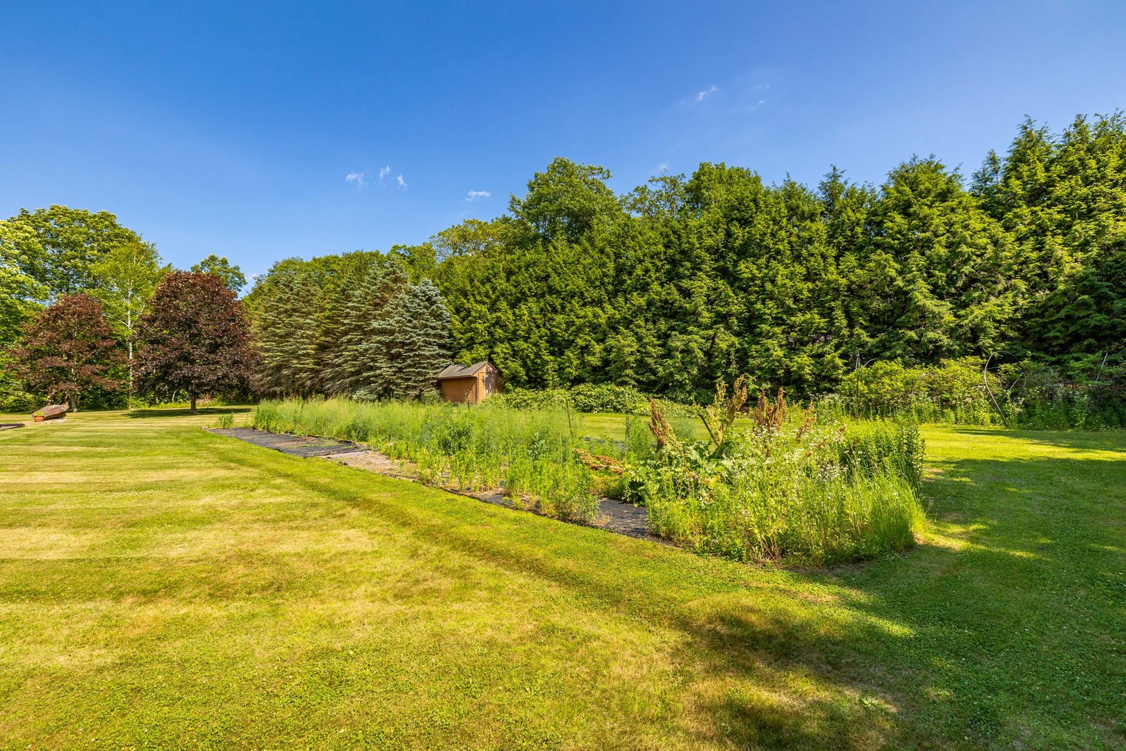 428 Maple Street Photo 29