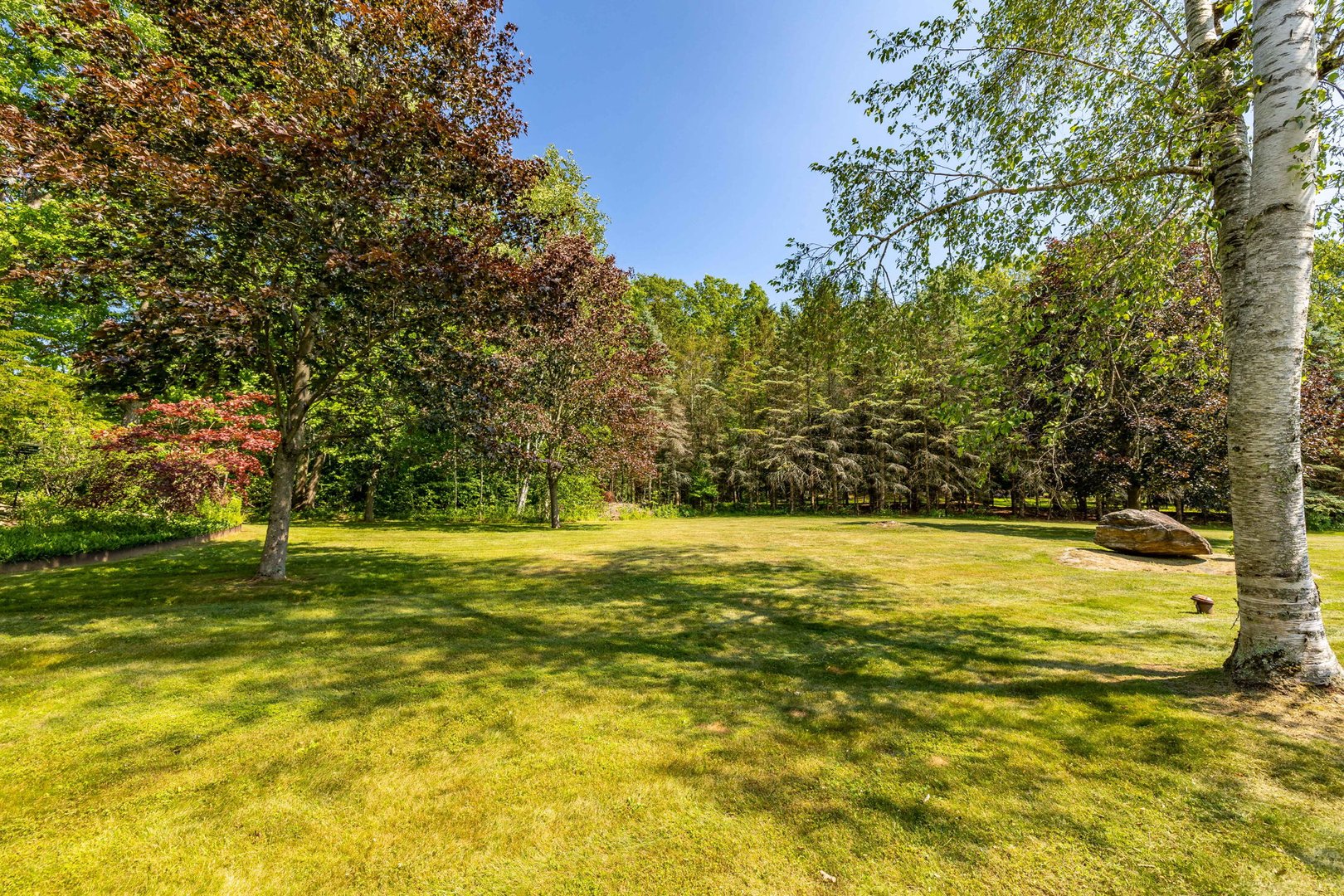 428 Maple Street Photo 3