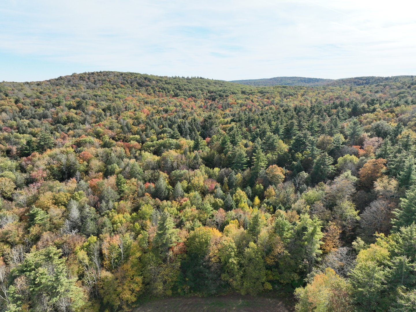 000000 Norfolk Road Photo 3