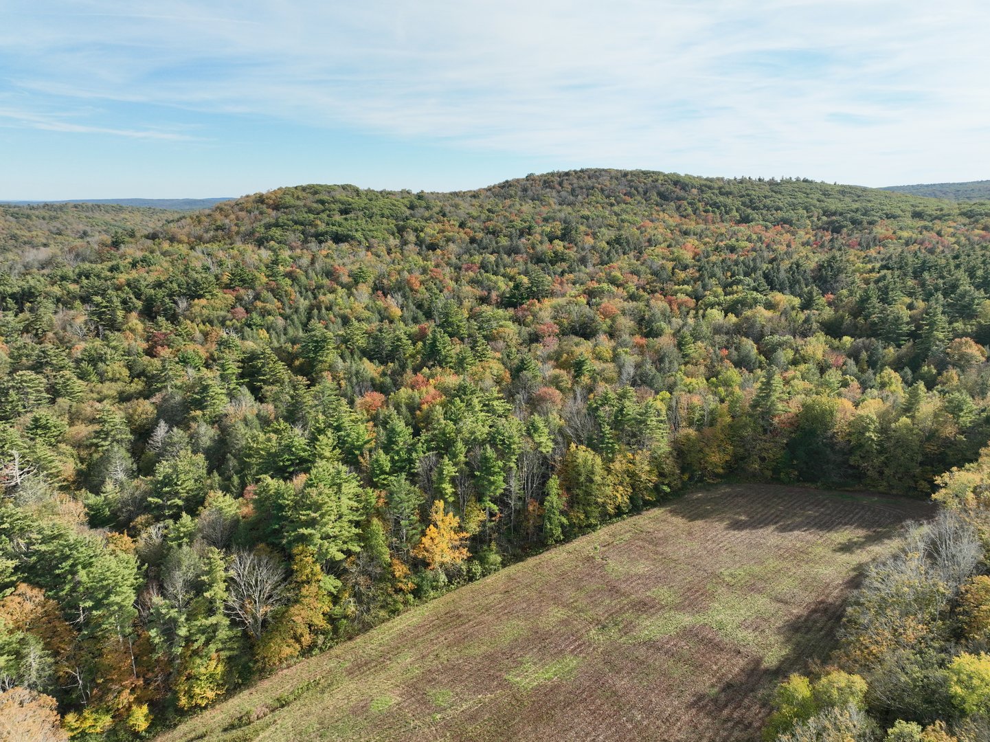 000000 Norfolk Road Photo 4