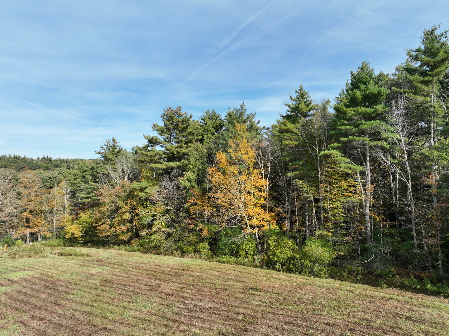 000000 Norfolk Road Photo 5