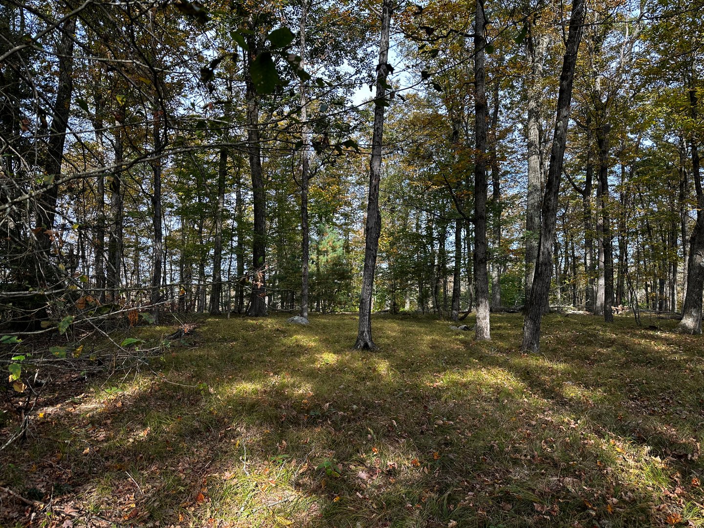 000000 Norfolk Road Photo 10