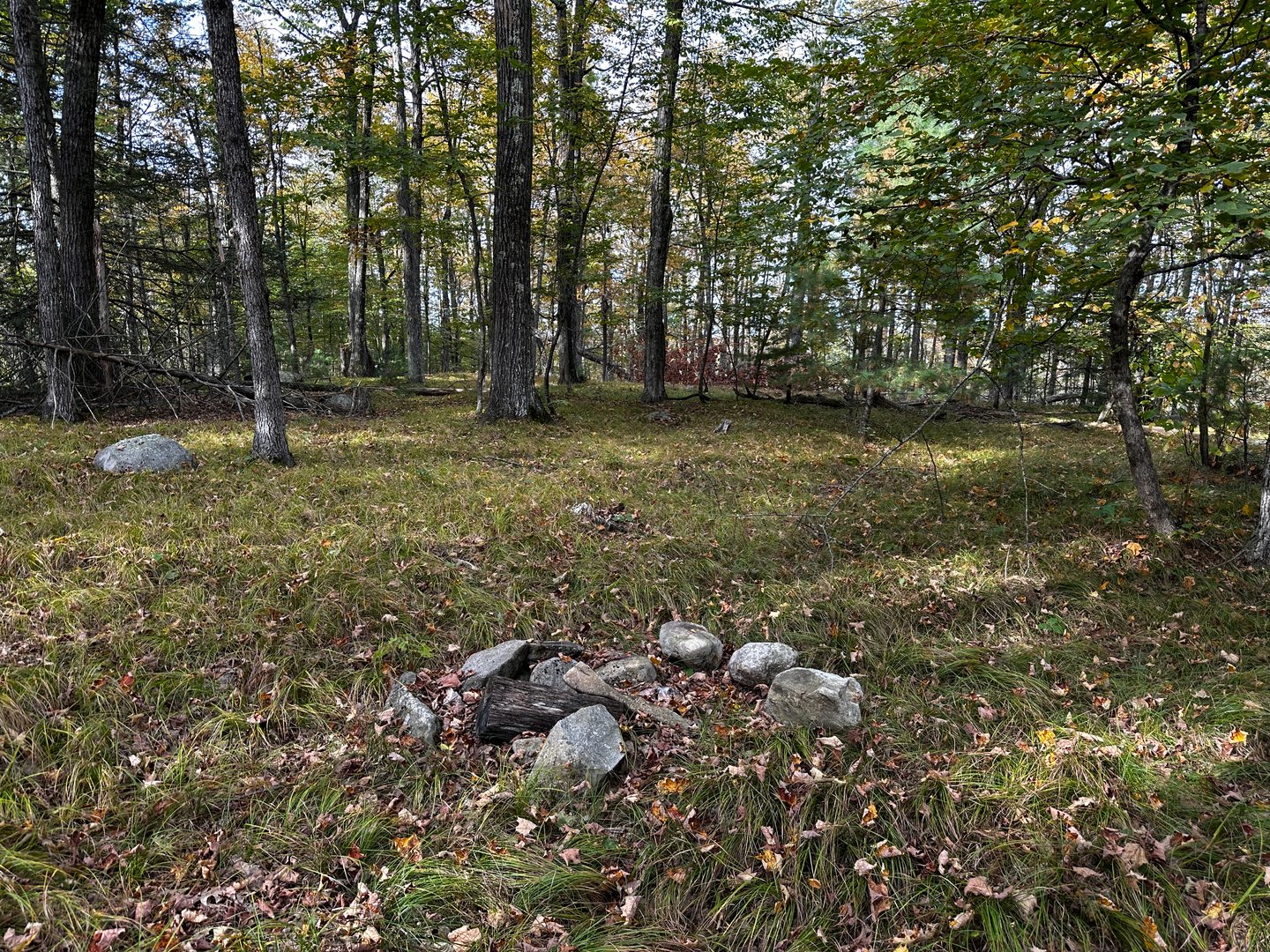 000000 Norfolk Road Photo 11