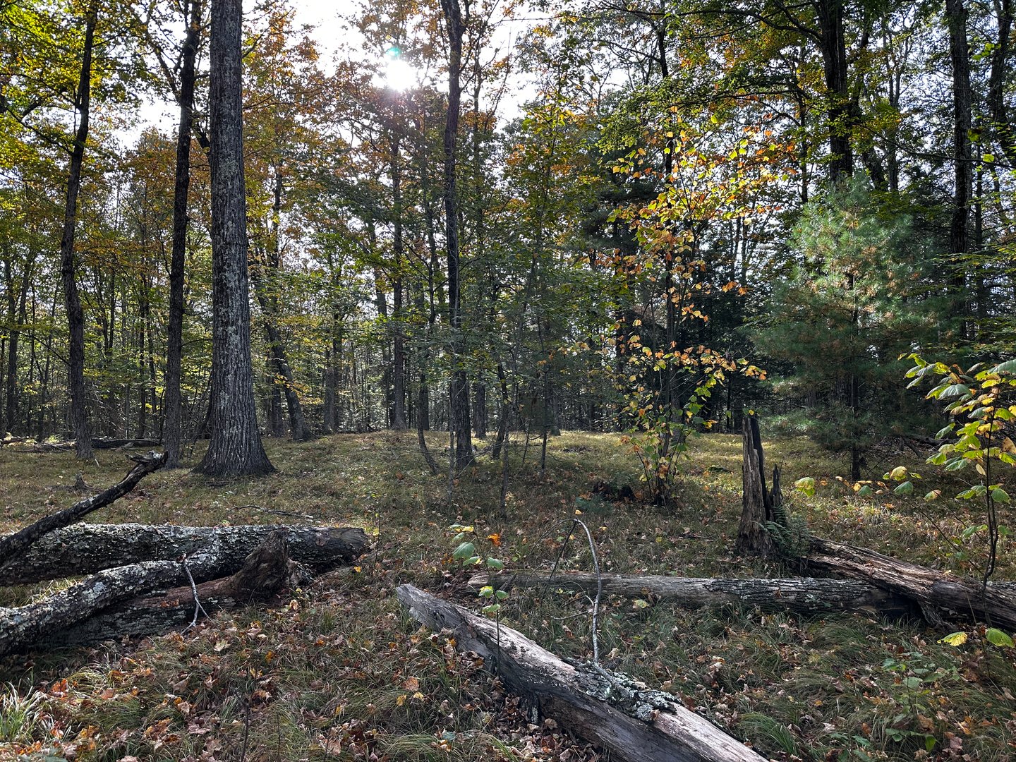 000000 Norfolk Road Photo 17