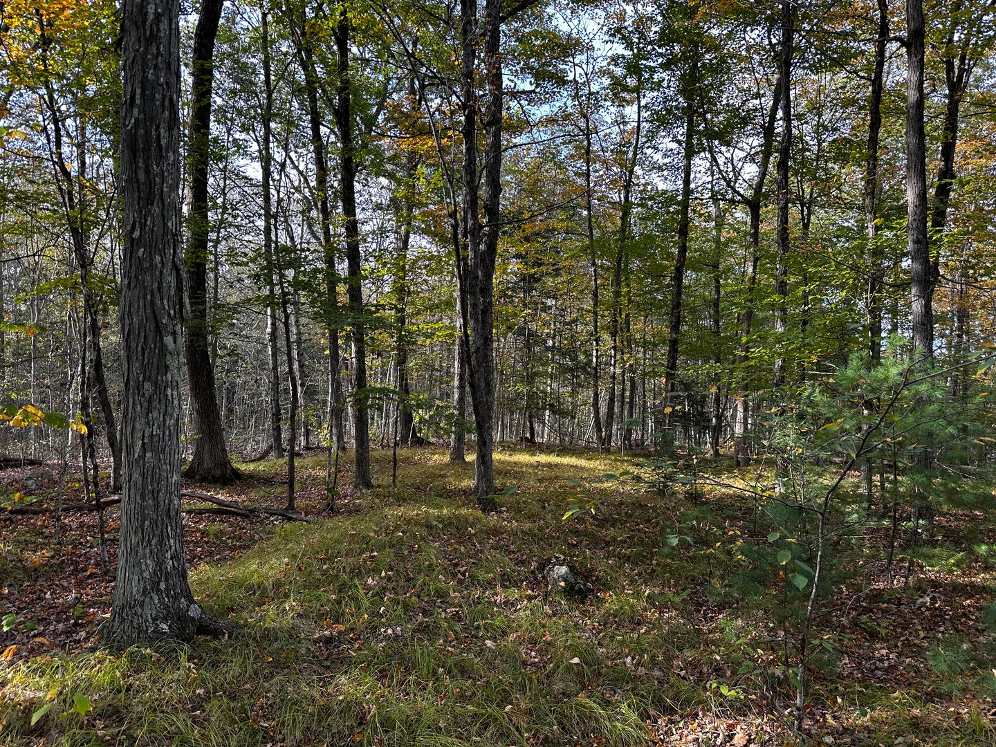 000000 Norfolk Road Photo 19