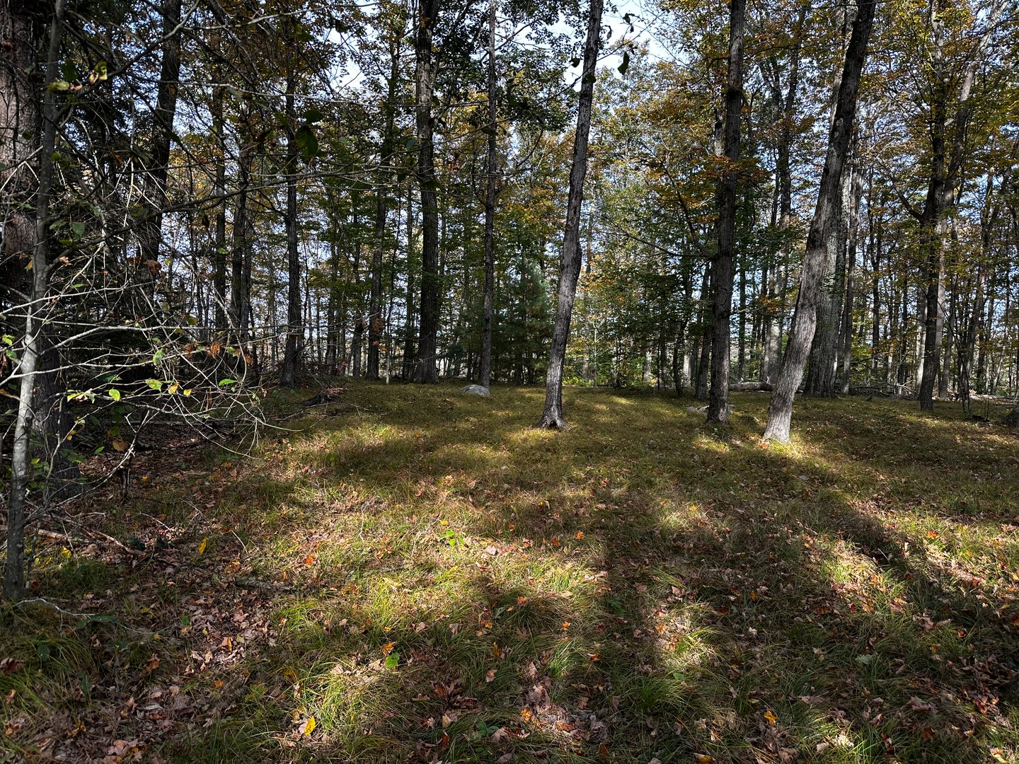 000000 Norfolk Road Photo 20