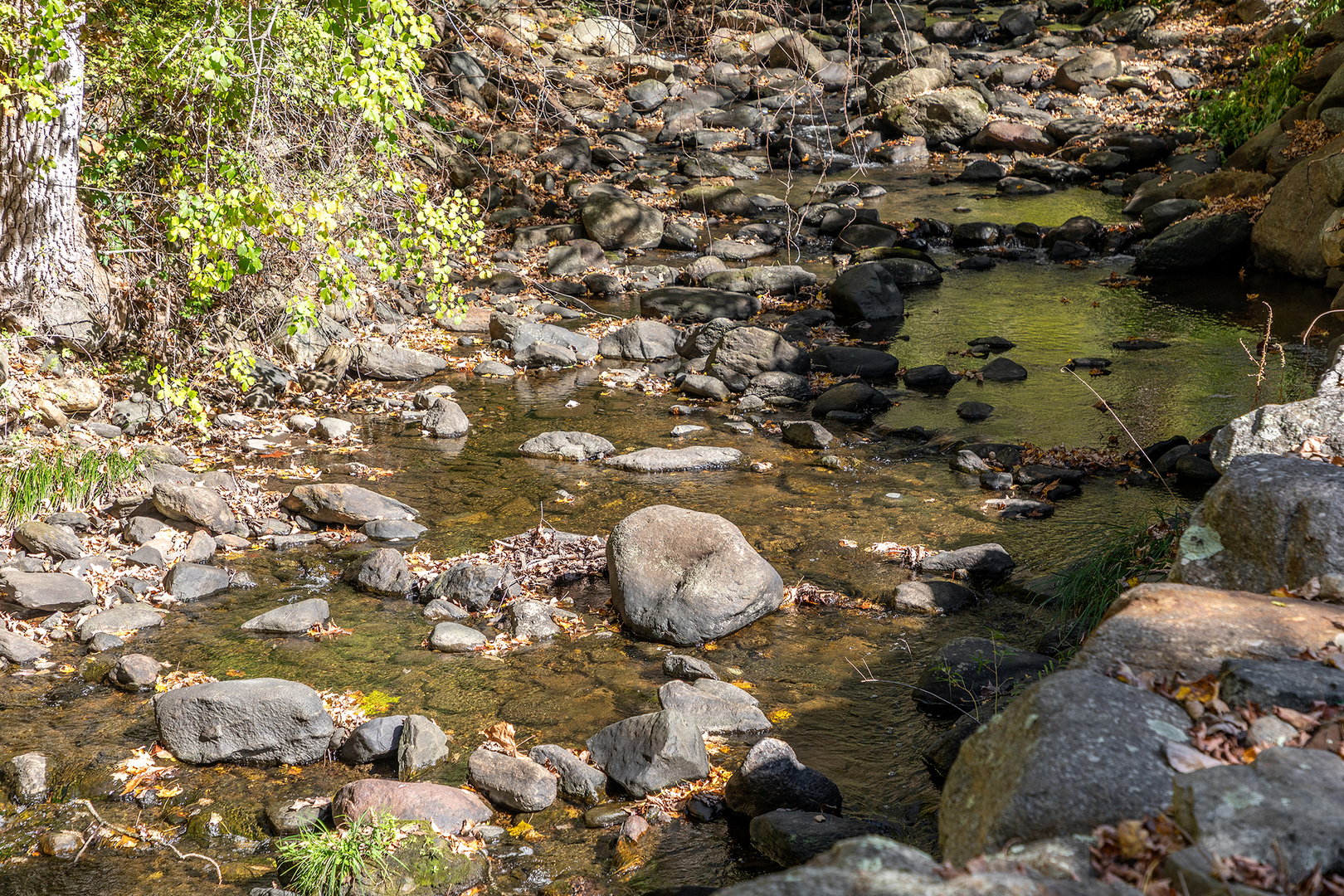 1 North Shore Road Photo 4