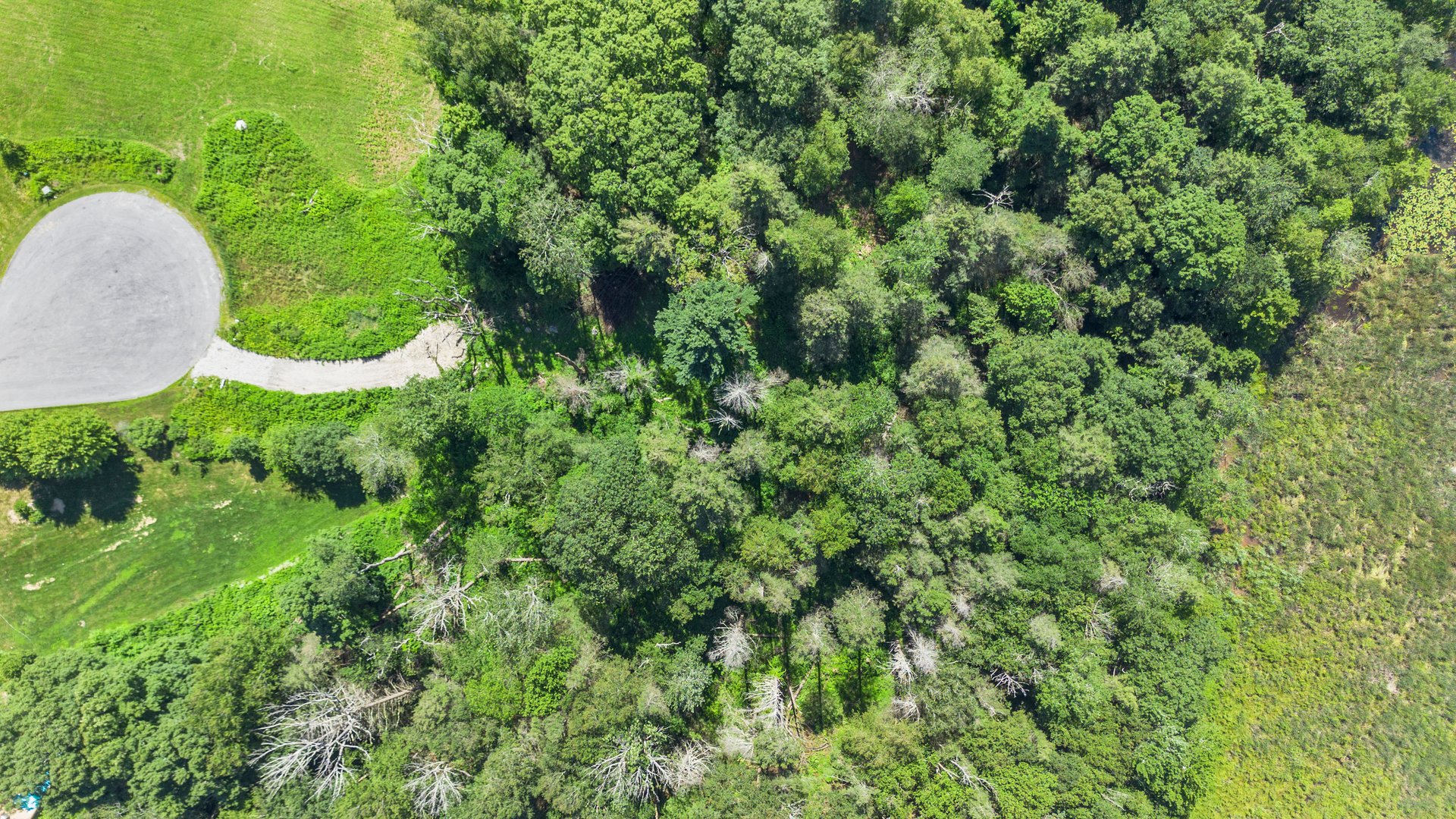 Meadowcrest Drive North Photo 4