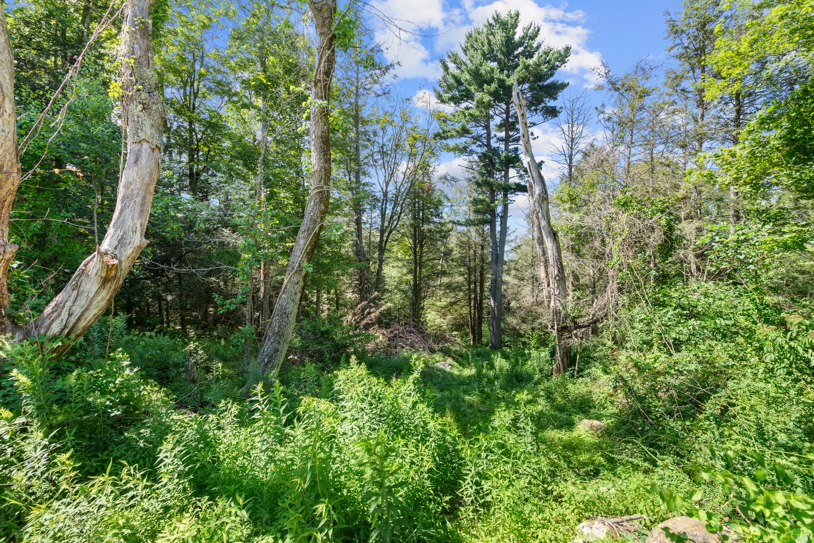 Meadowcrest Drive North Photo 9