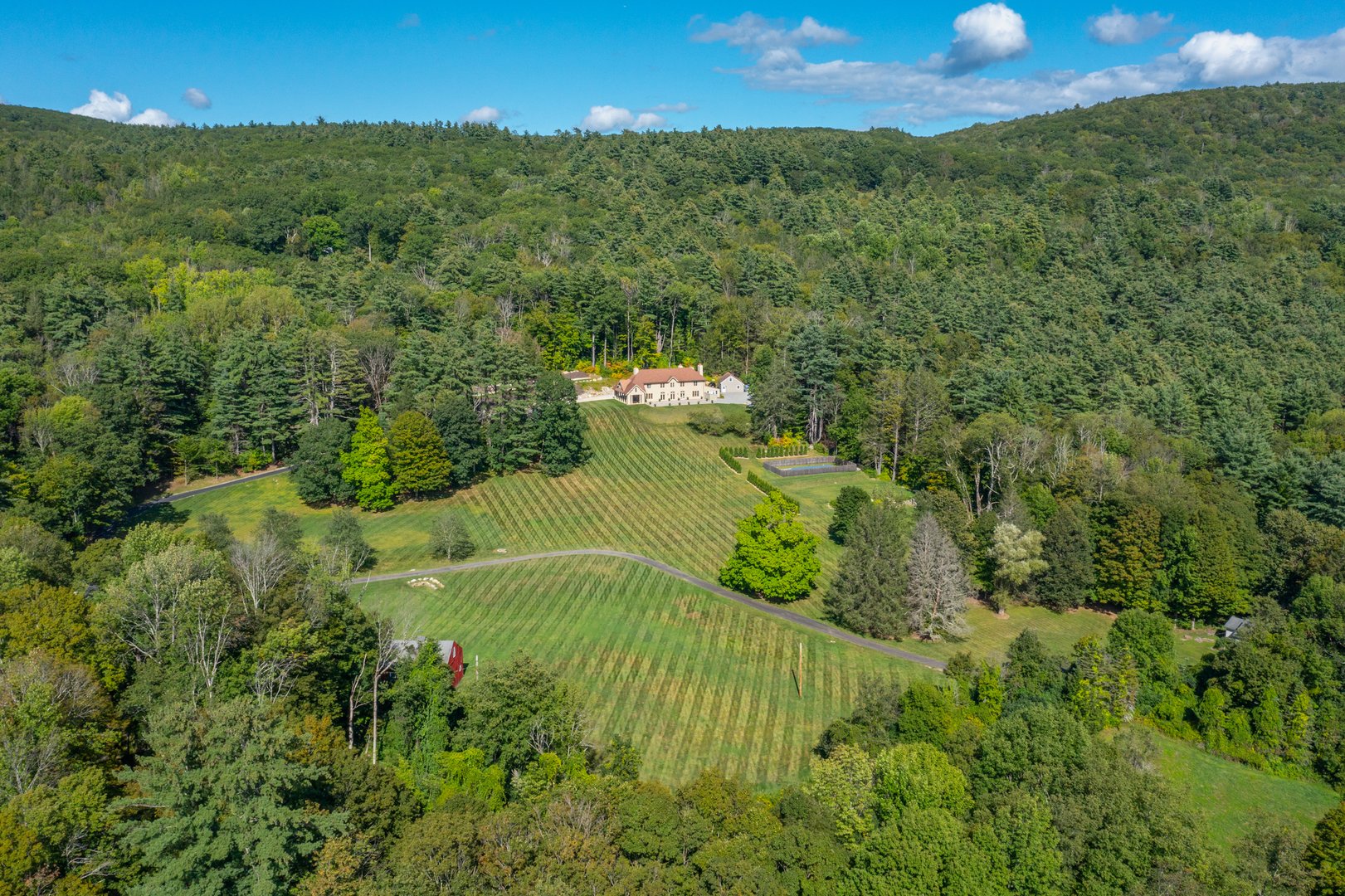 8 Webster Rd Photo 45