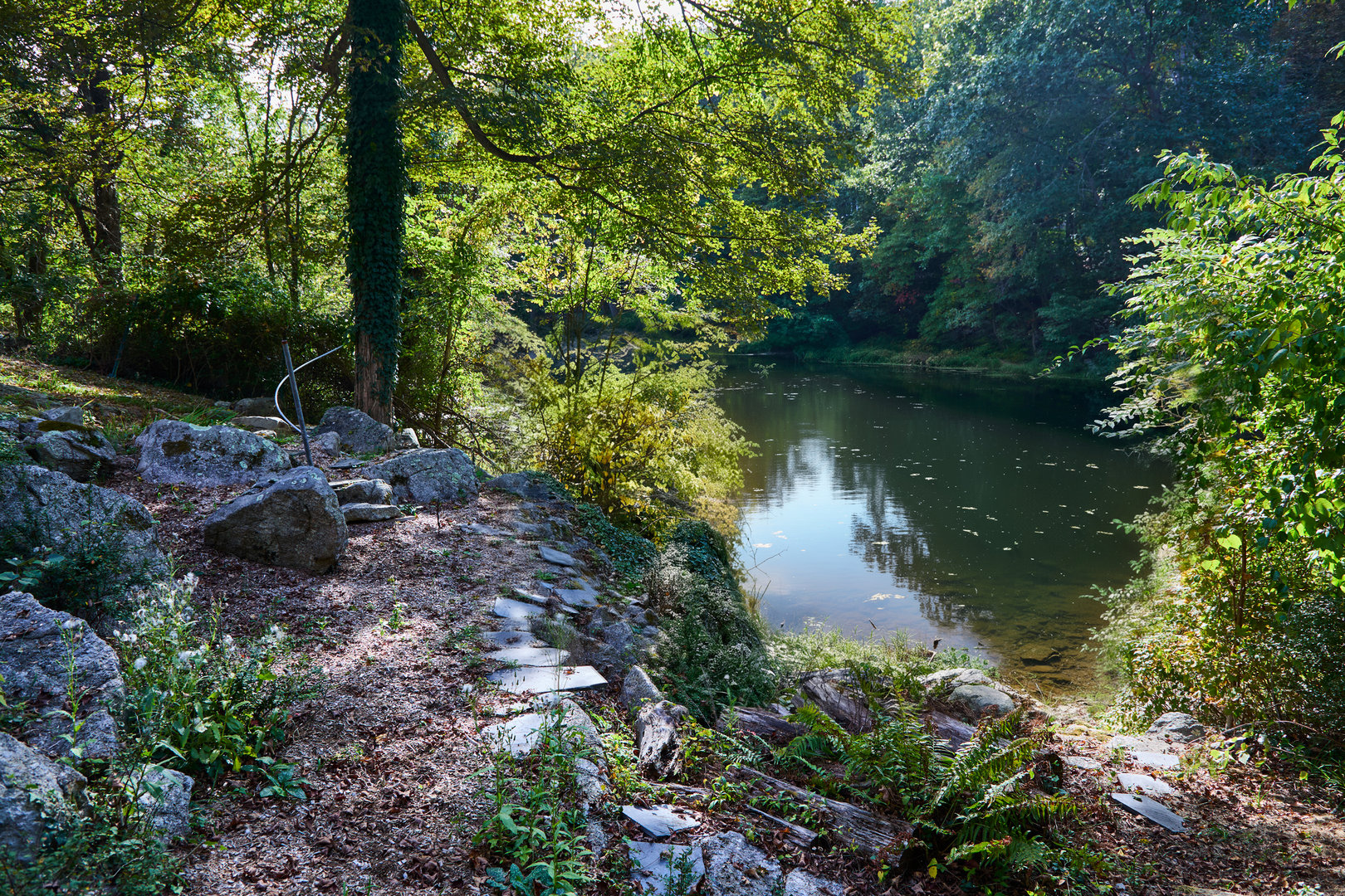 136 Lyons Plain Road Photo 19