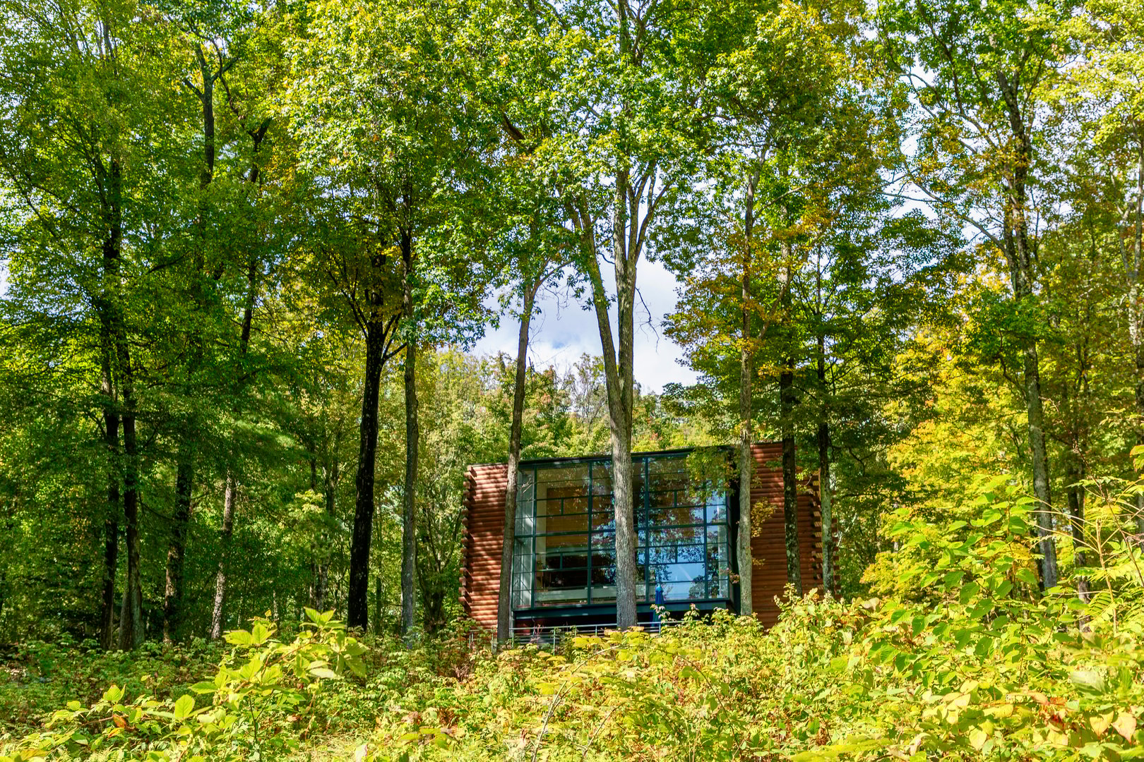 39 Hornbeck Lane Photo 20