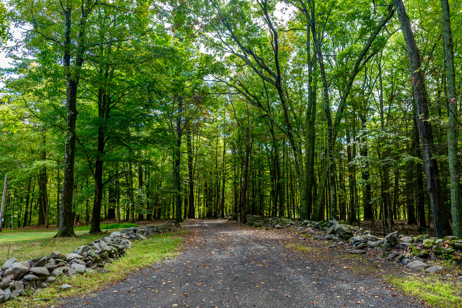 39 Hornbeck Lane Photo 21