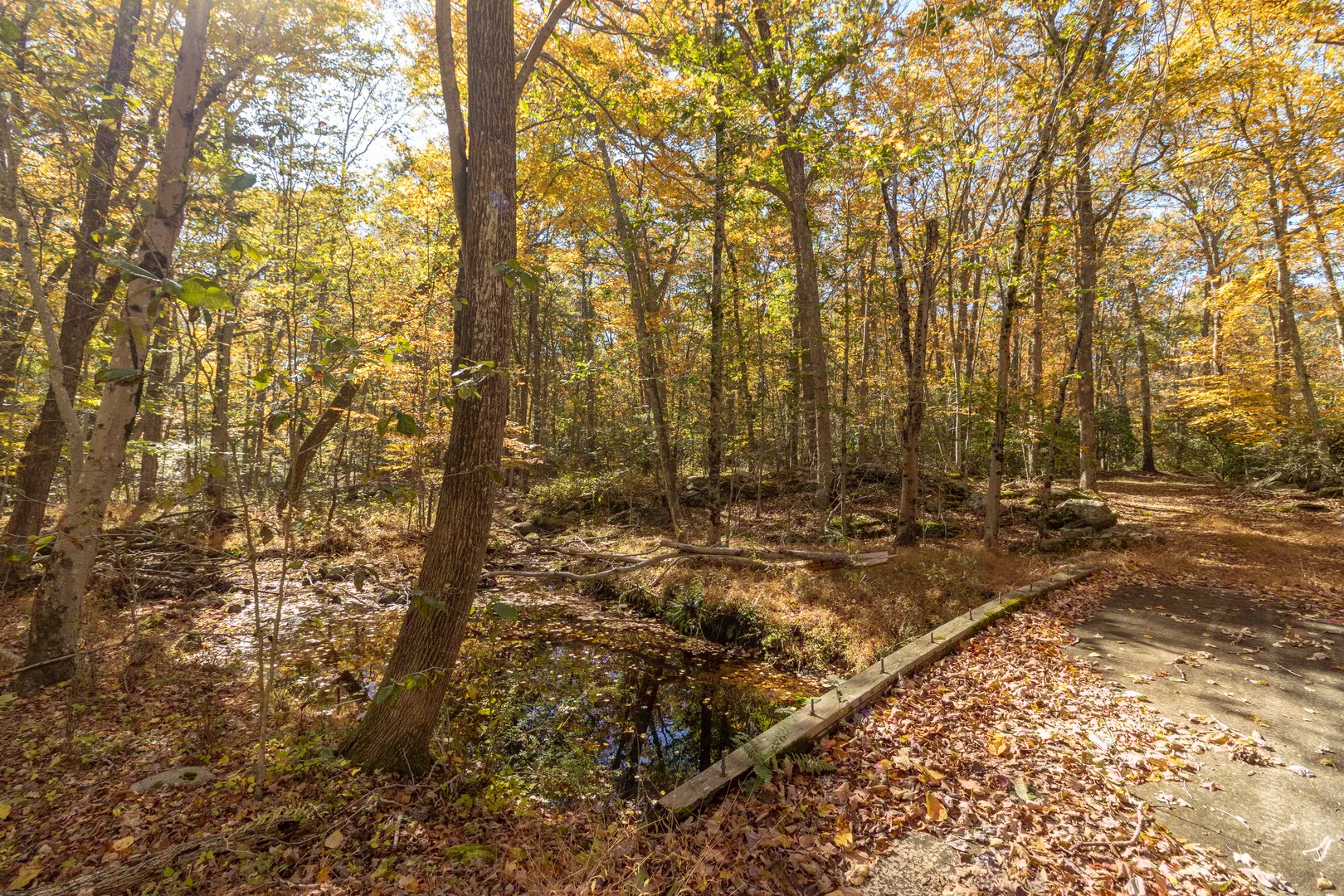 4 Laurel Lane Photo 2