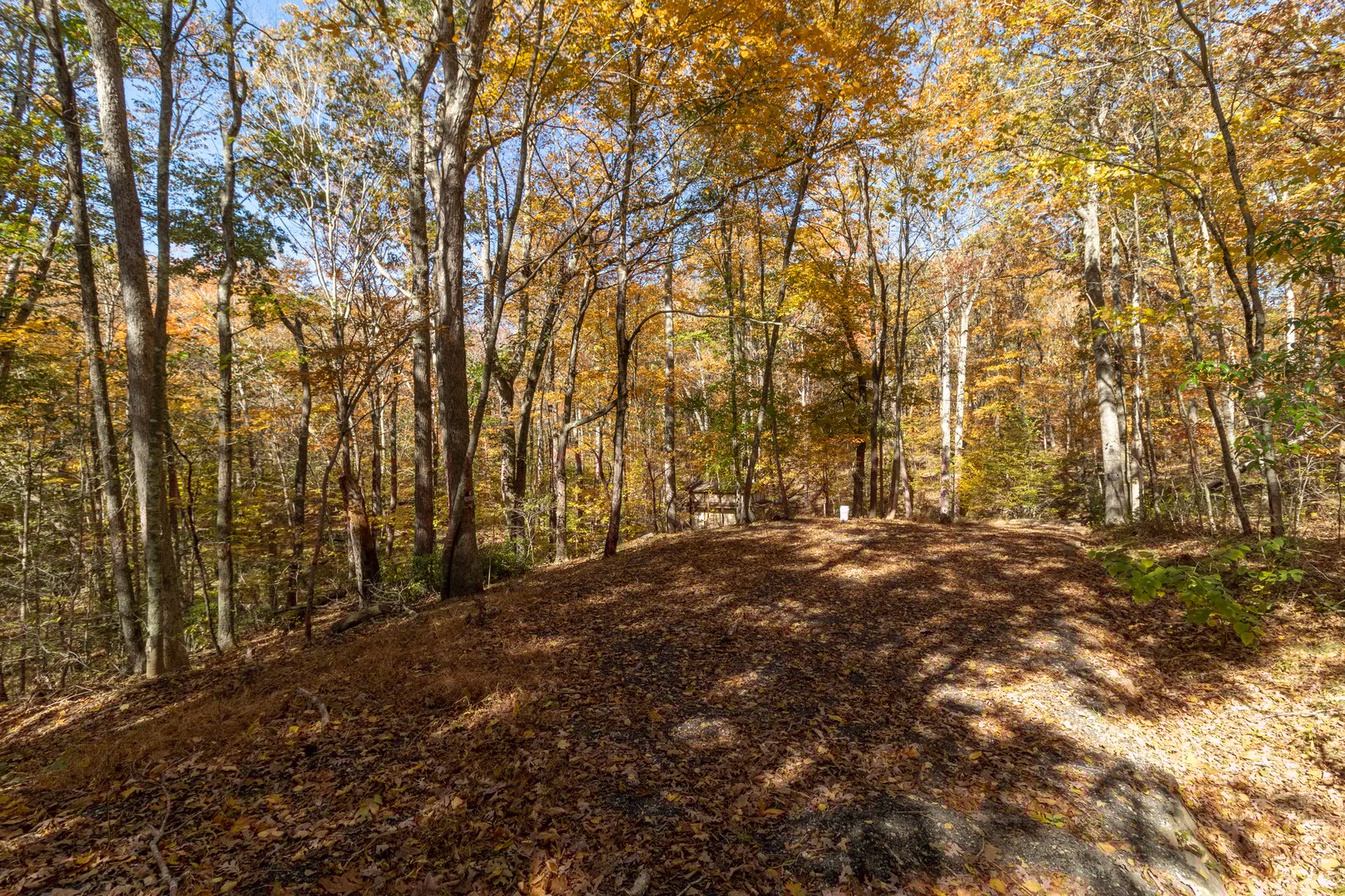 4 Laurel Lane Photo 4