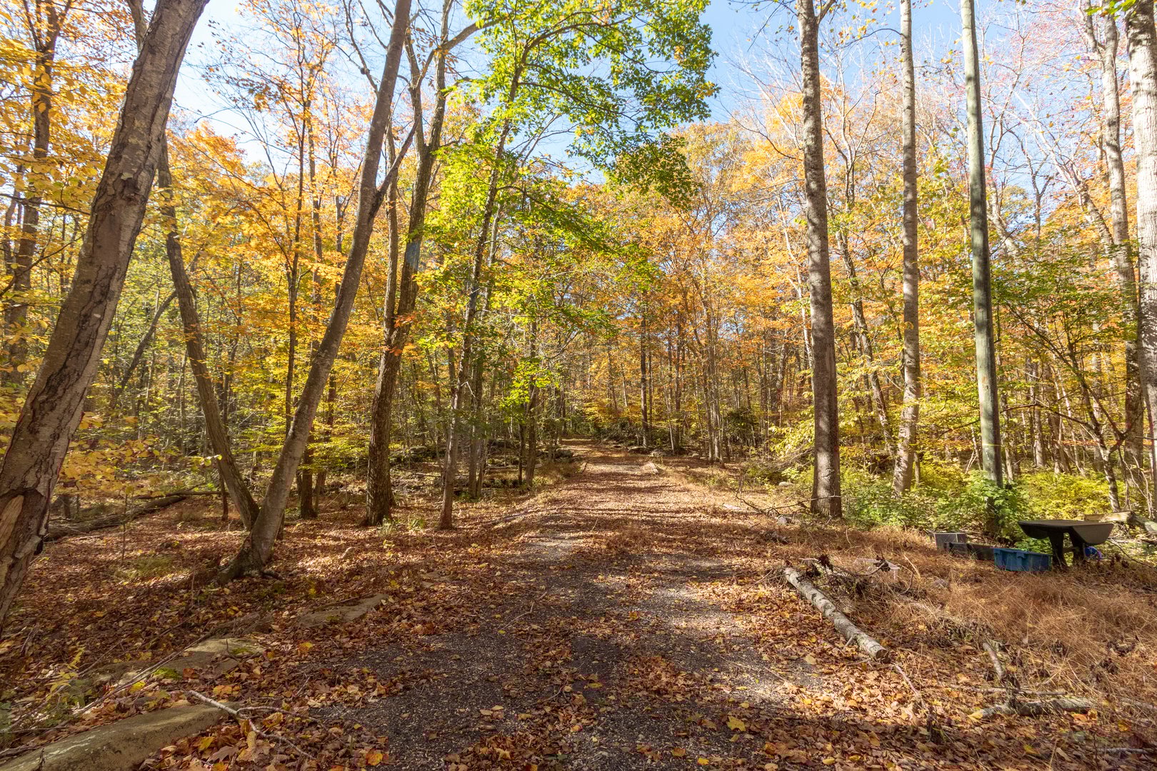 4 Laurel Lane Photo 7