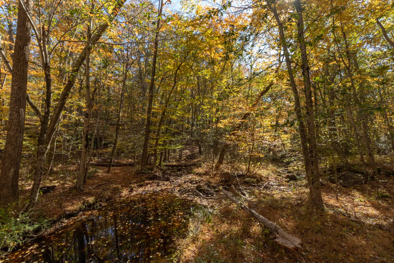 4 Laurel Lane Photo 13