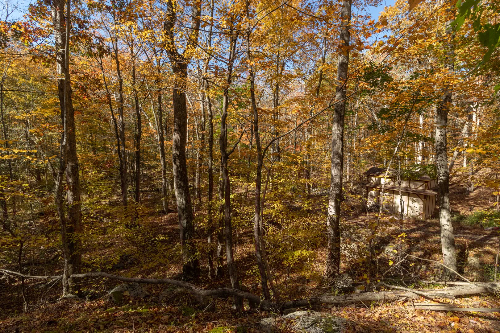 4 Laurel Lane Photo 29