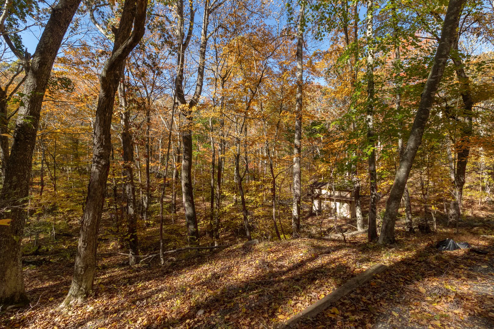 4 Laurel Lane Photo 30